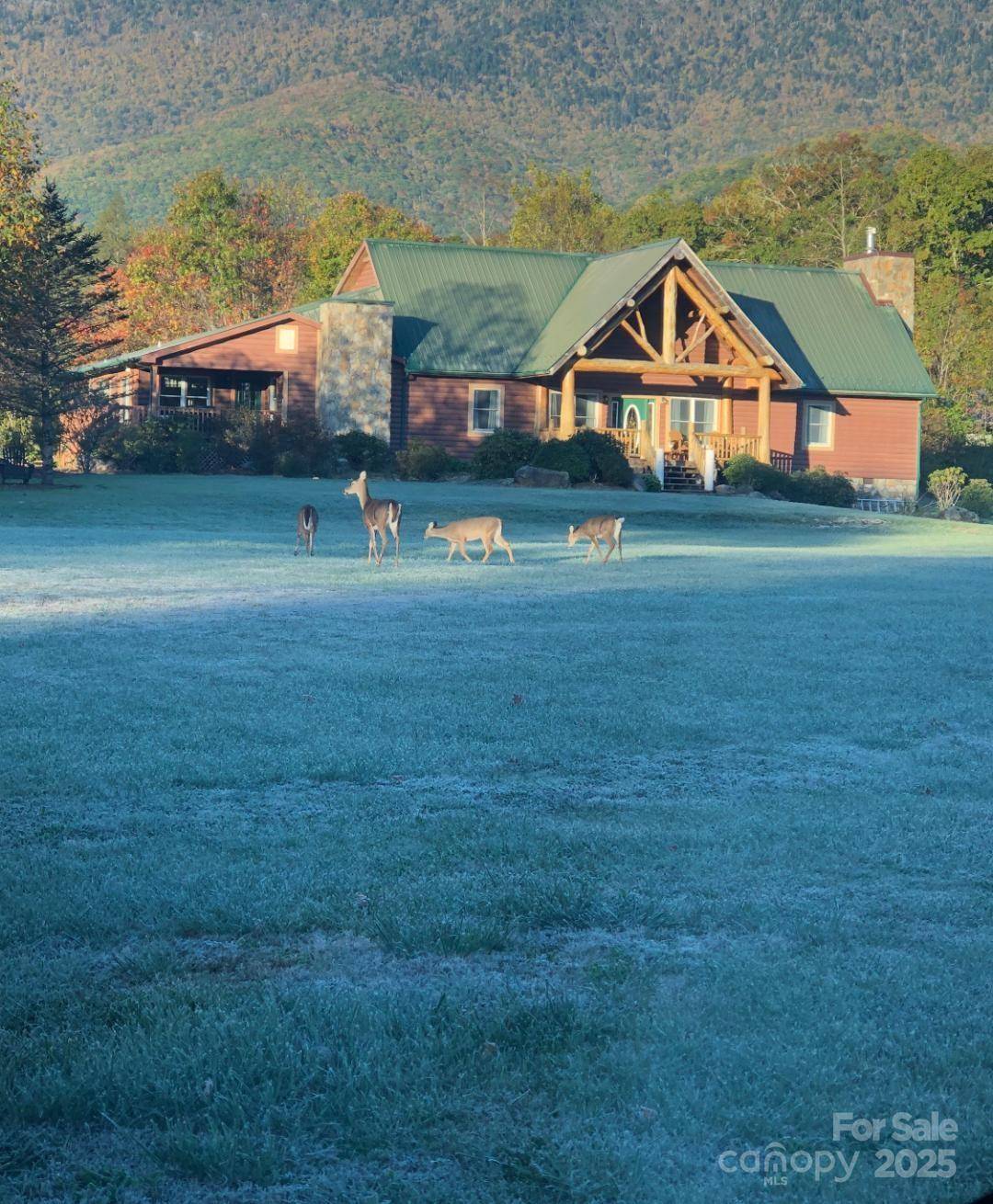 Burnsville, NC 28714,100 Mill Race LN