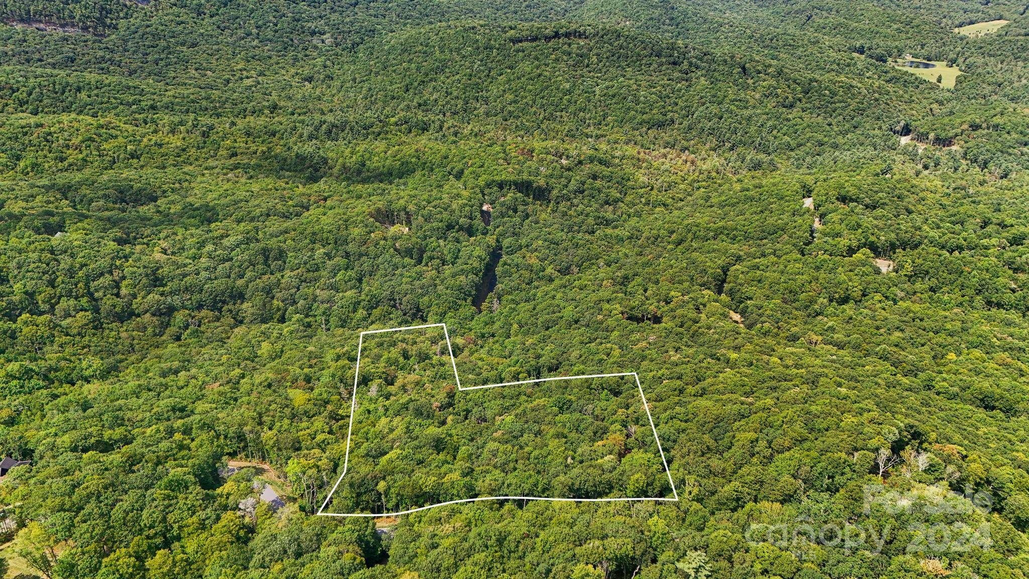 Glenville, NC 28736,Lot D52 Springwater RD