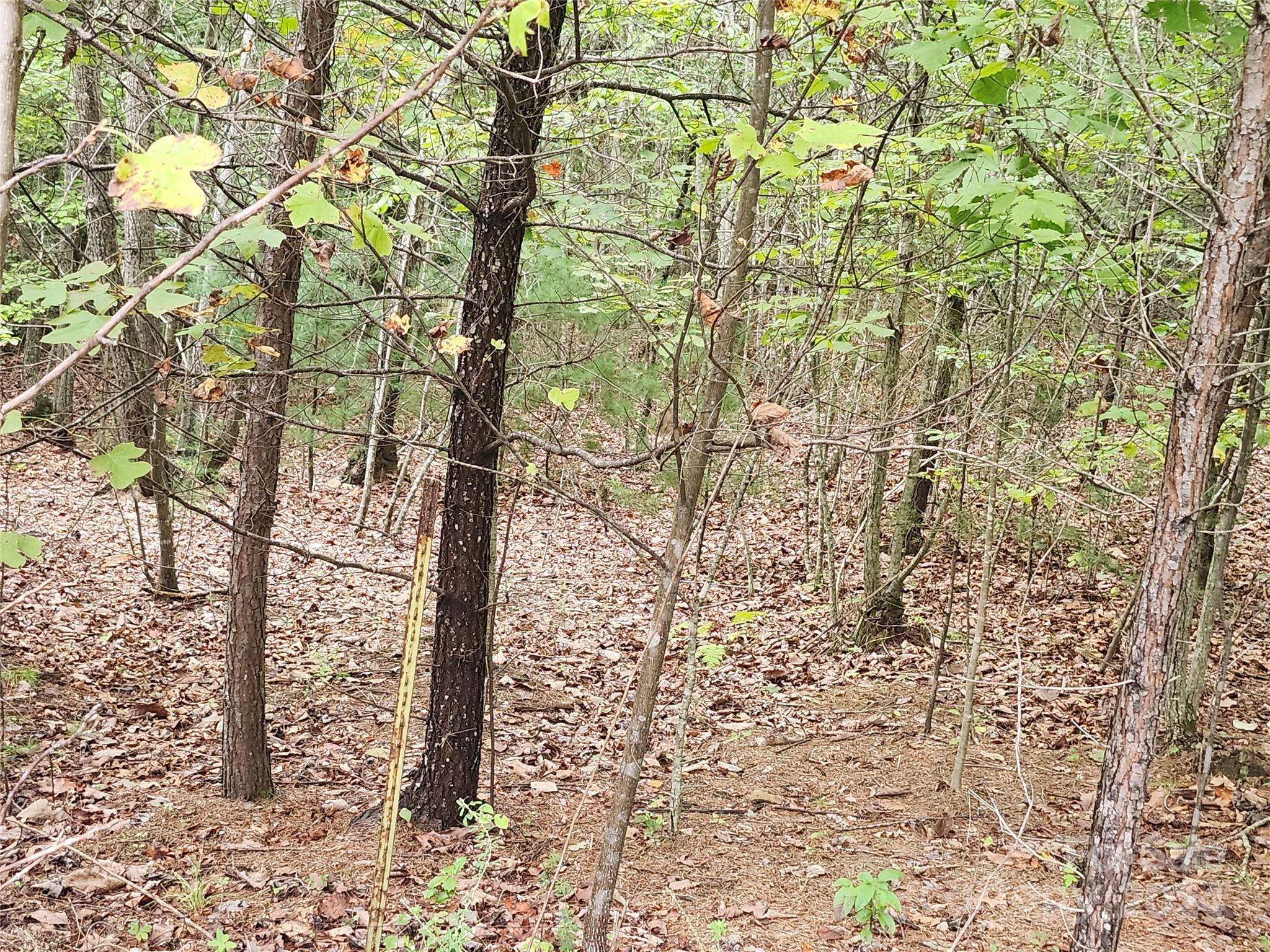 Nebo, NC 28761,Lot 104 Boysenberry DR