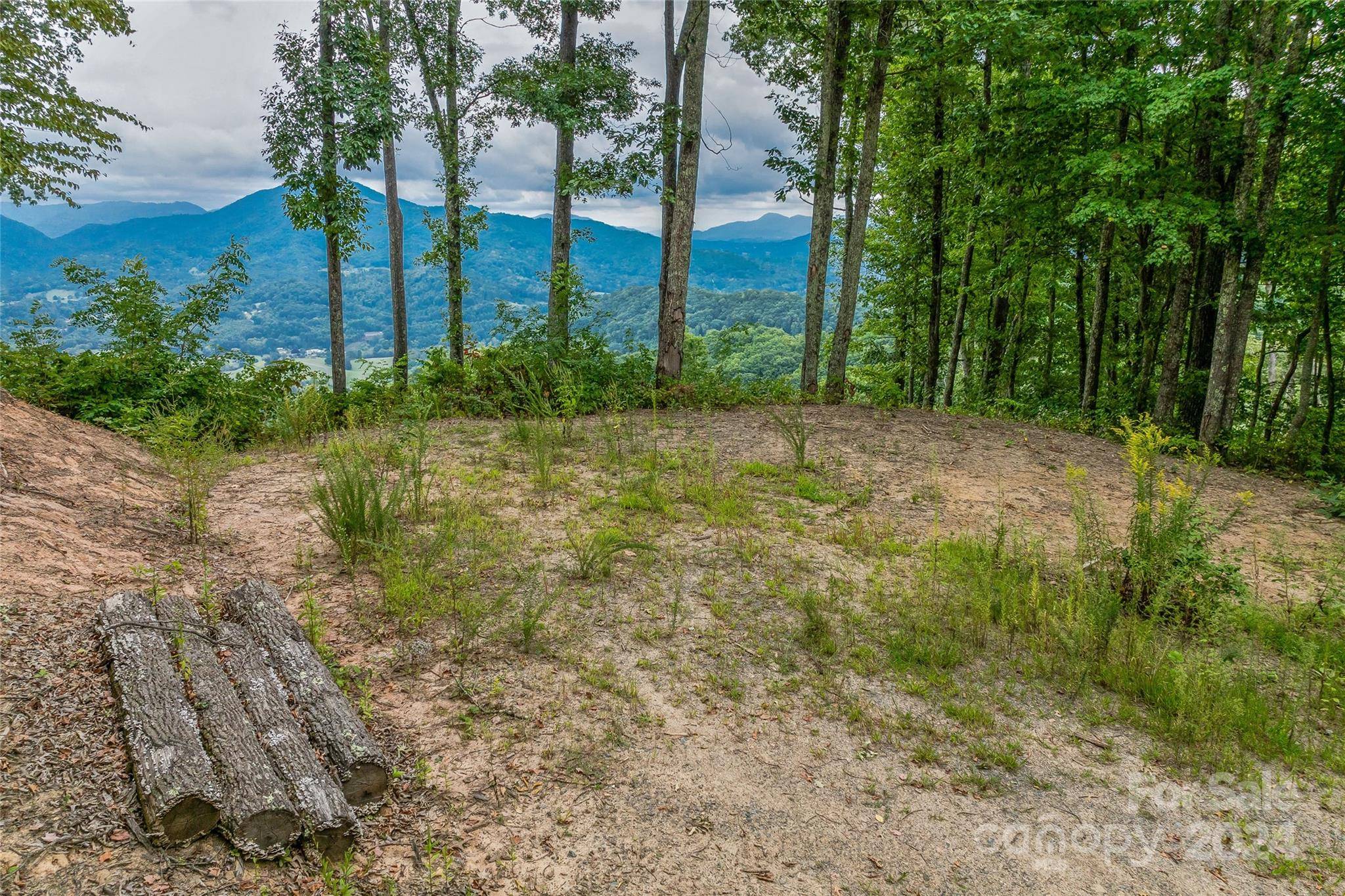 Waynesville, NC 28785,Lot #12 Signature Row BLVD