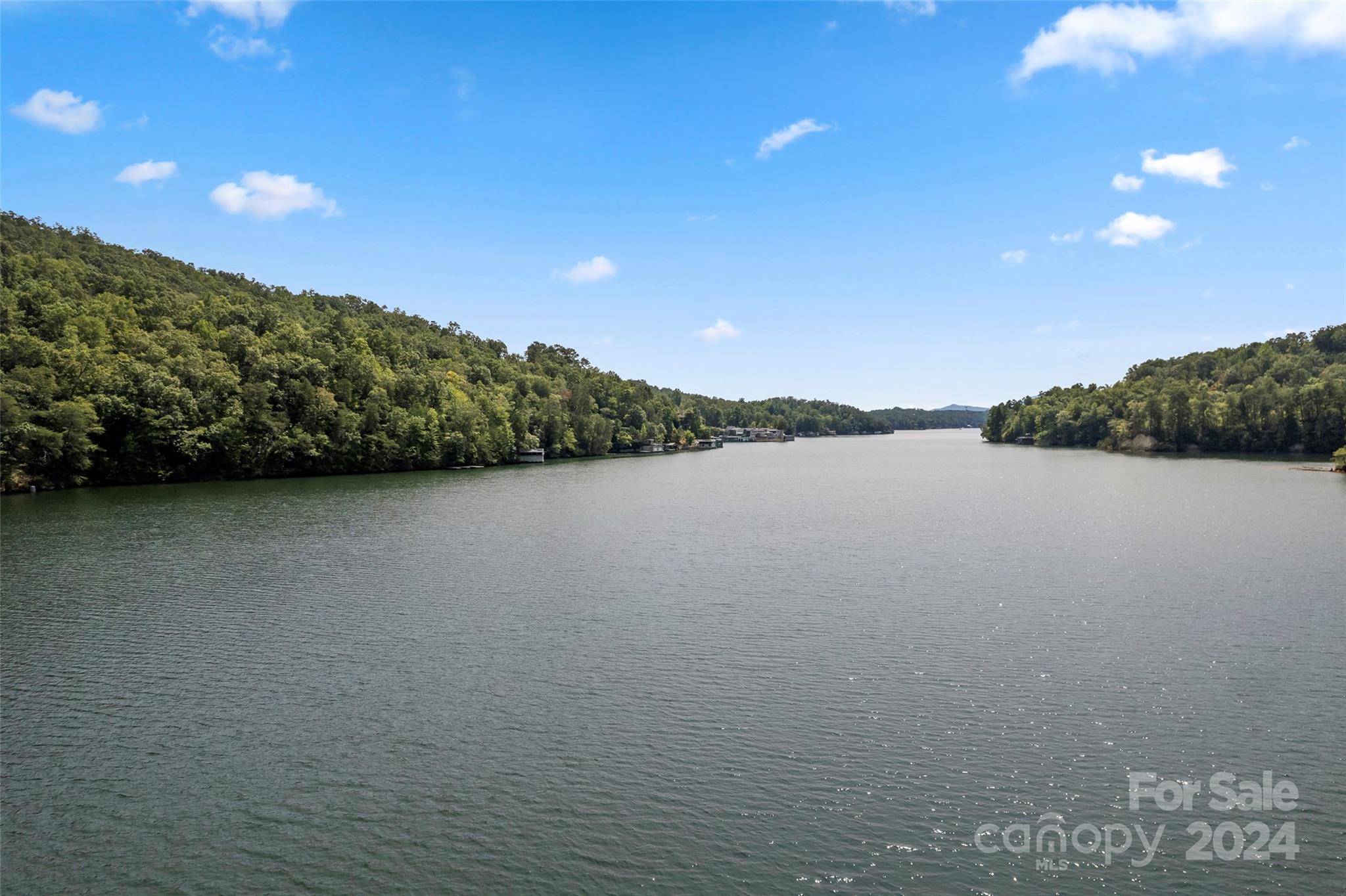 Lake Lure, NC 28746,Lot 2 Shoreline CT #2