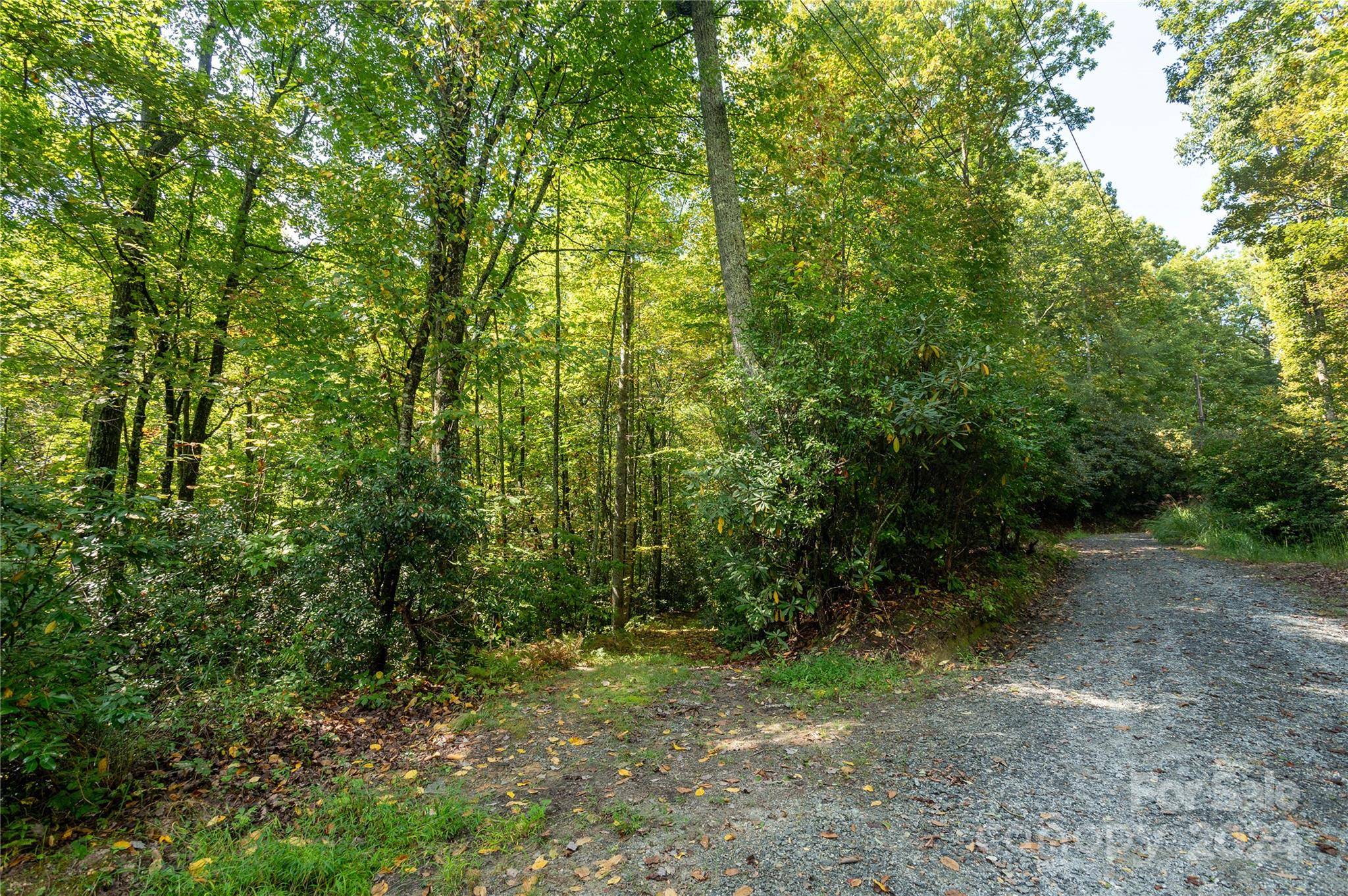 Hendersonville, NC 28739,00 Erwin Hills DR