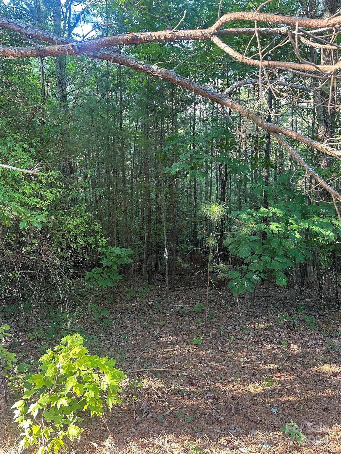 Nebo, NC 28761,TBD Hidden Lake Pkwy #50