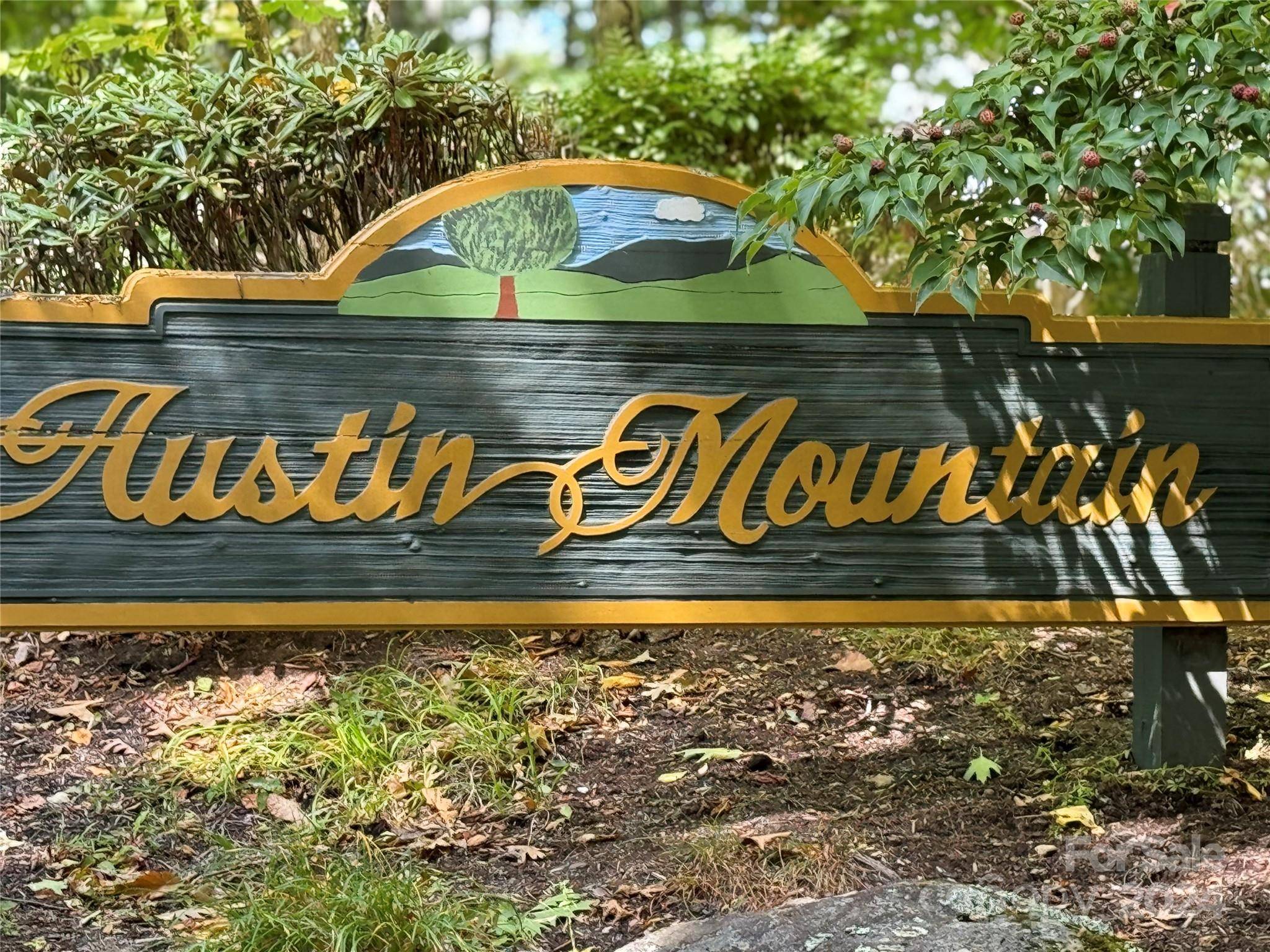 Burnsville, NC 28714,Lot 12 Austin Mountain DR