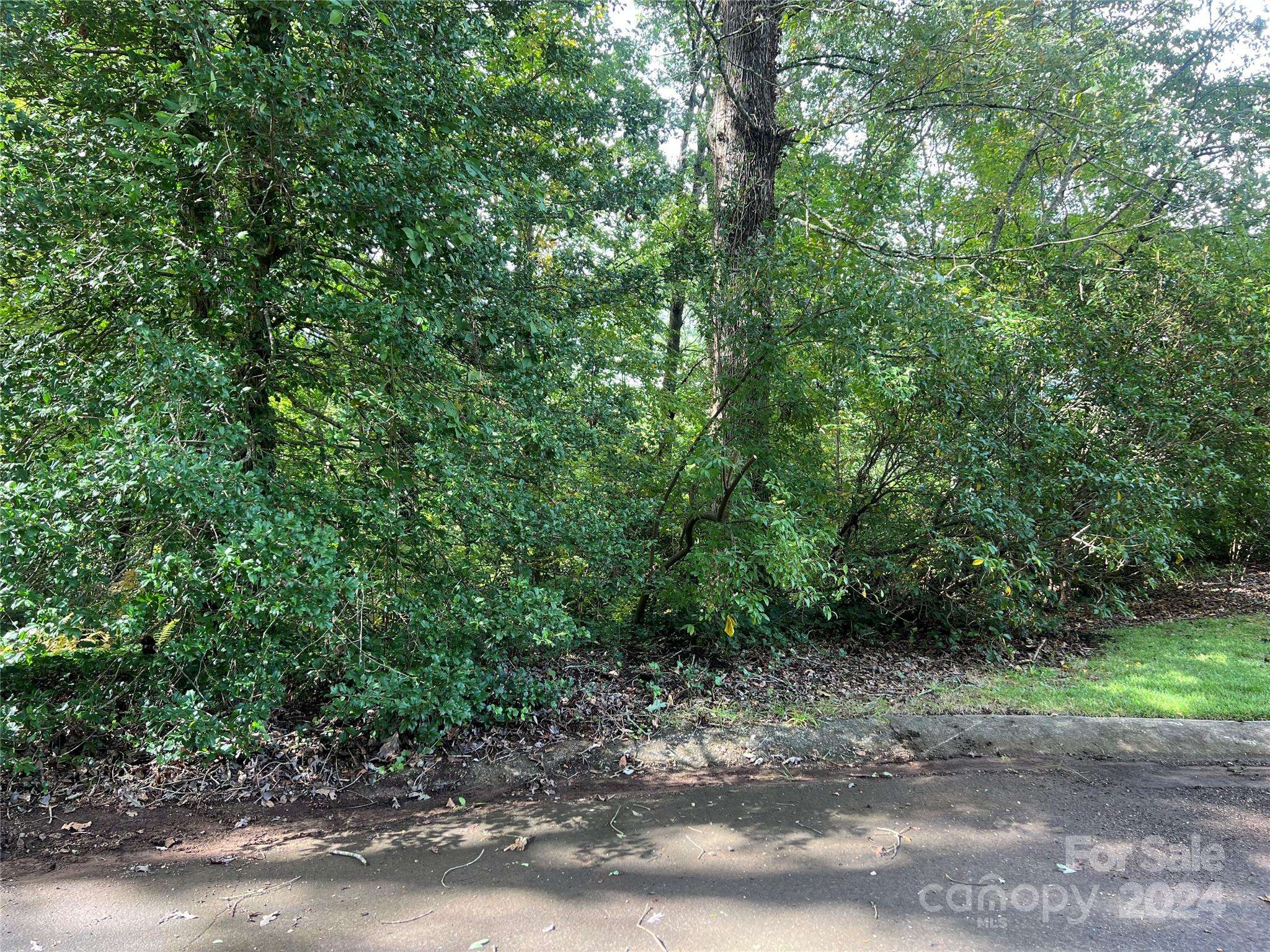 Brevard, NC 28712,Lot 7-R Forest Ridge AVE