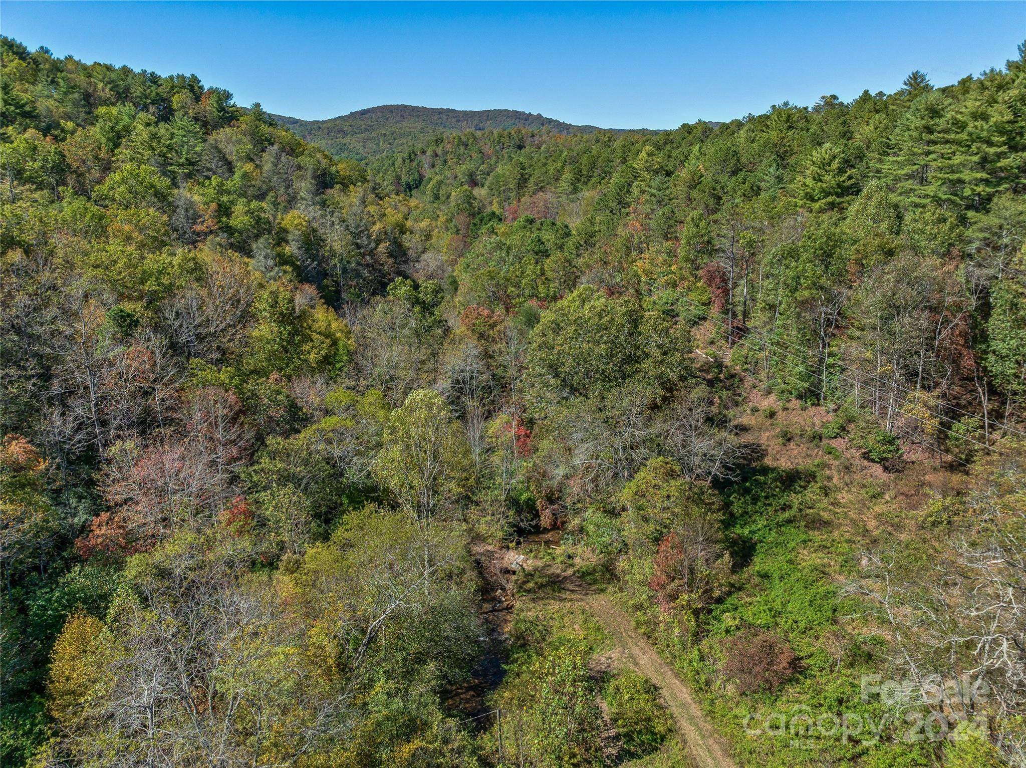 Lake Toxaway, NC 28747,99999 Yager Farms RD