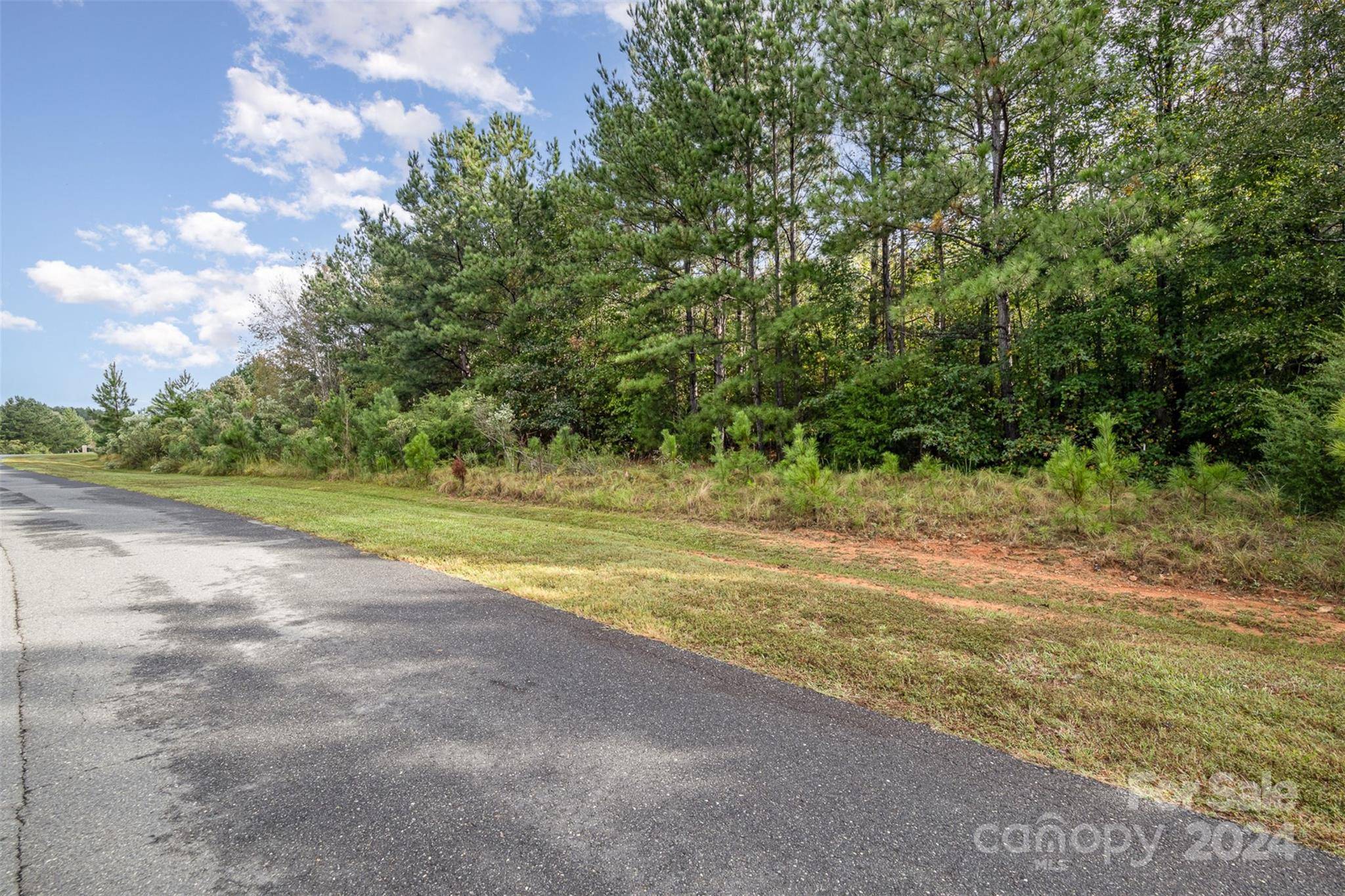 Rock Hill, SC 29730,1863 White Fawn LN