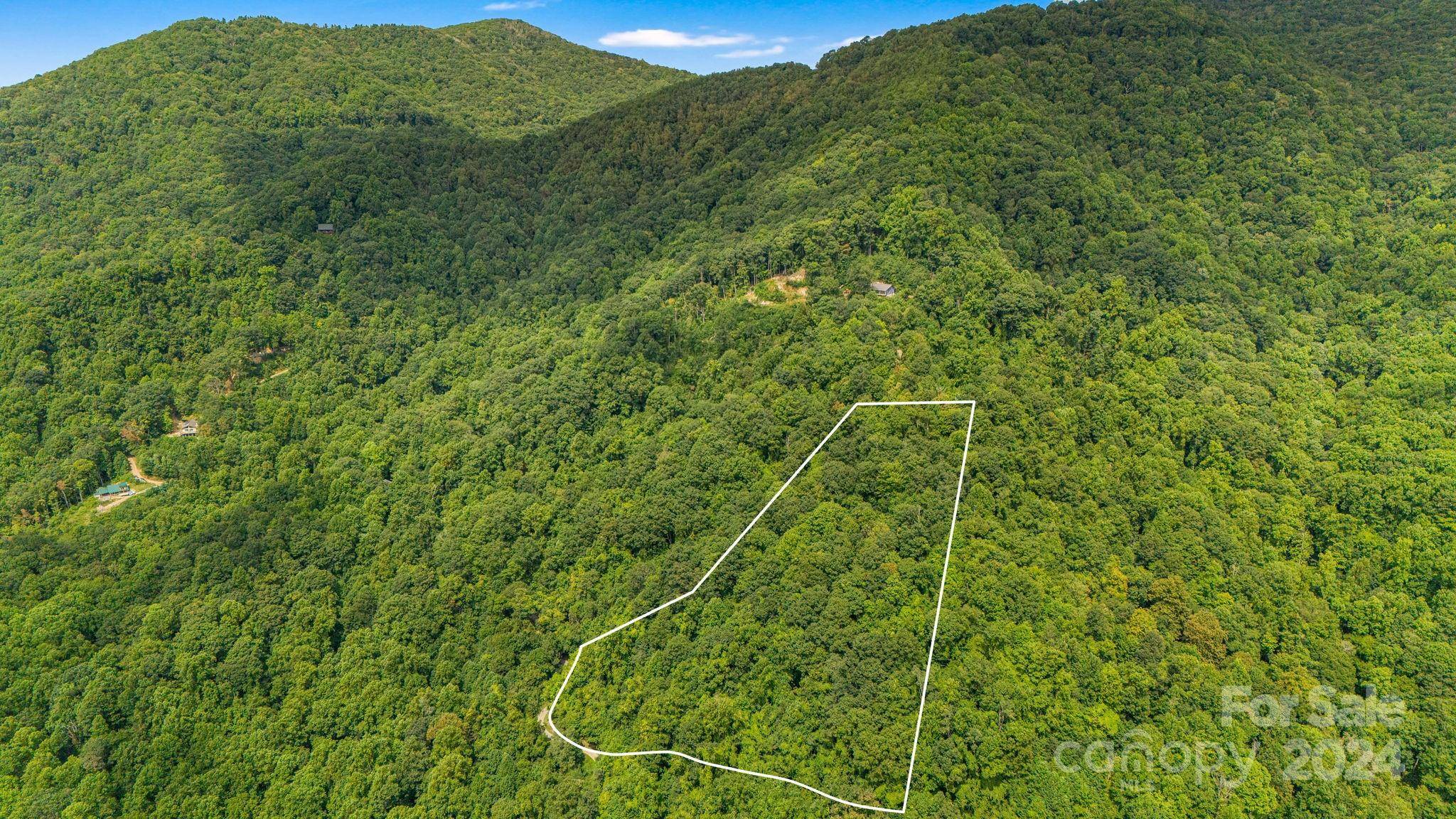 Hot Springs, NC 28743,Lot 21 Cat Pen Branch RD