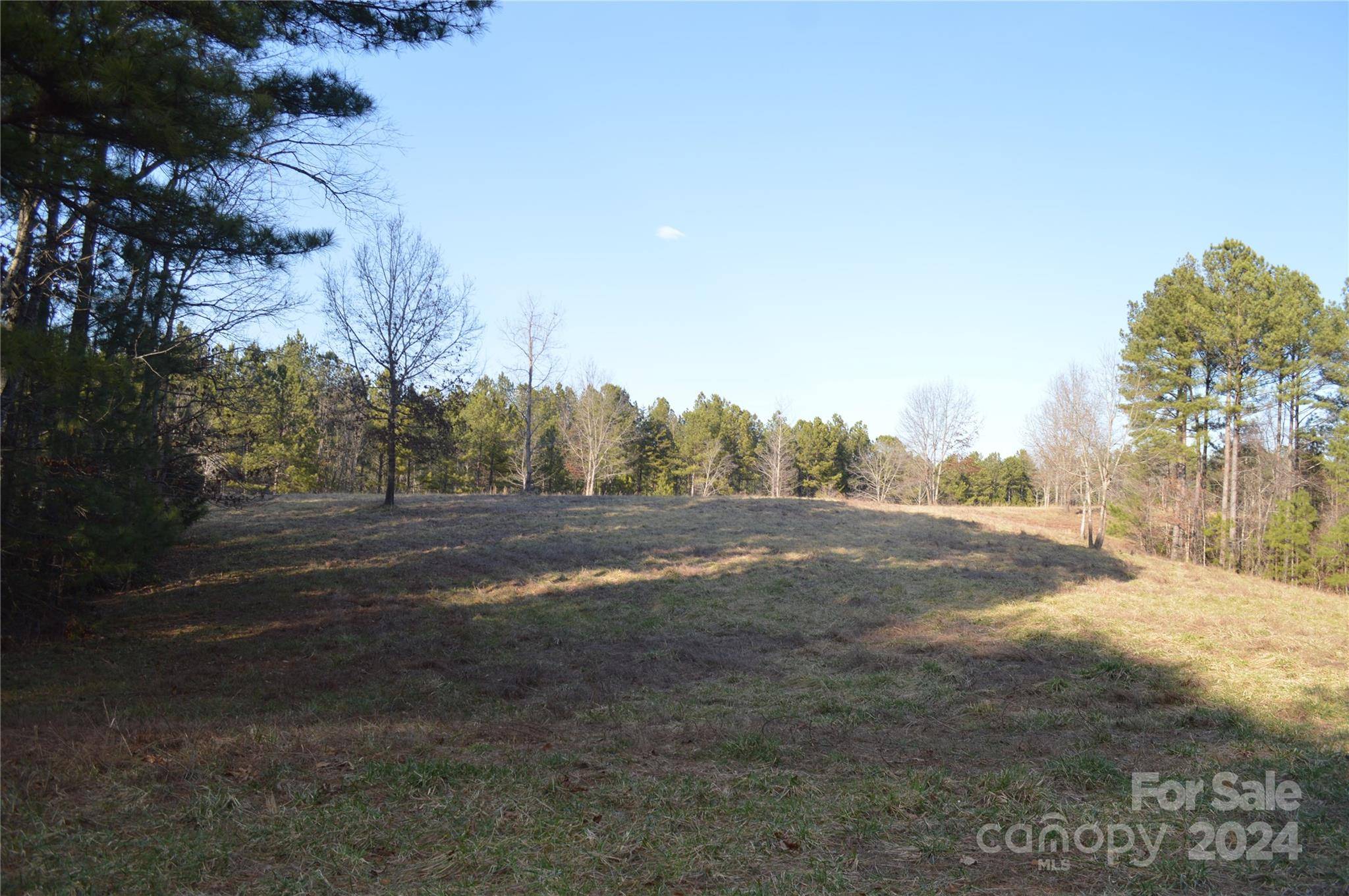 Mill Spring, NC 28756,0 Maggie Pye LN #6