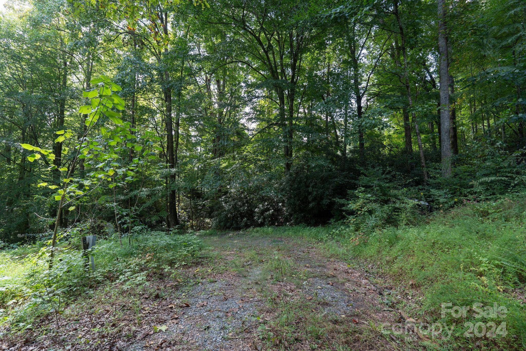 Pisgah Forest, NC 28768,TBD Off Vineyard LOOP