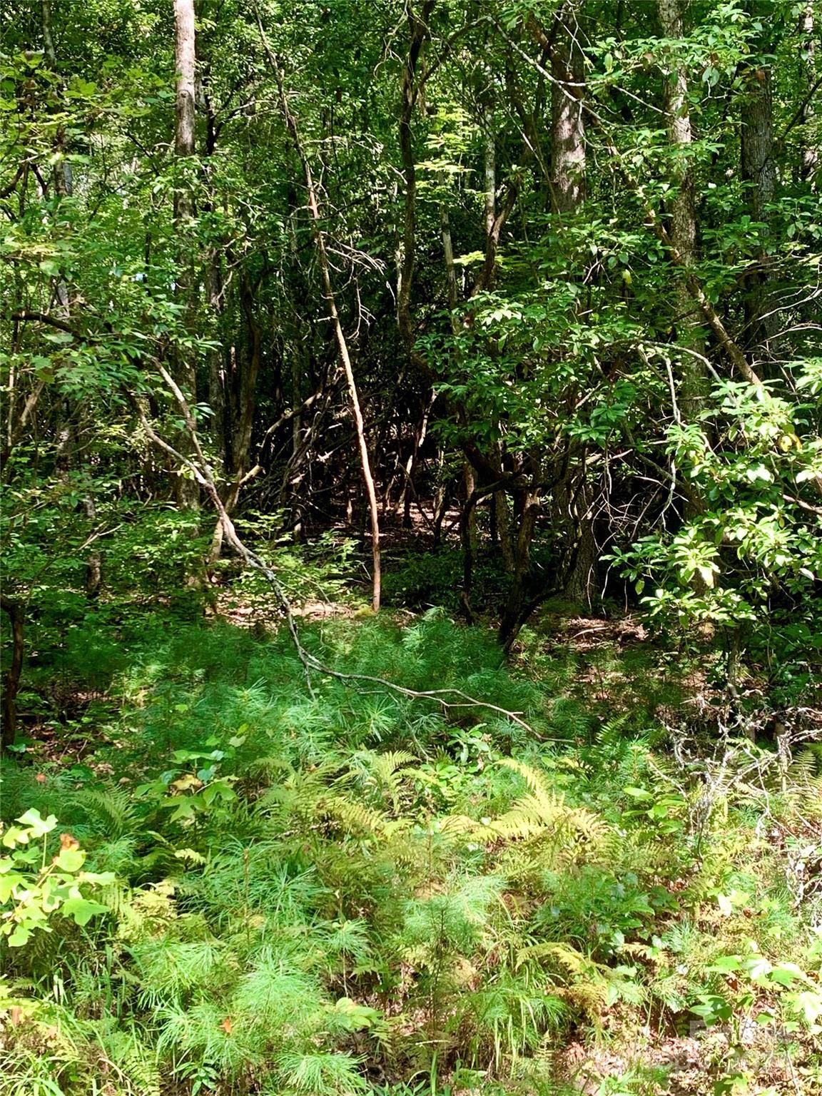 Brevard, NC 28712,TBD Double Creek DR #6