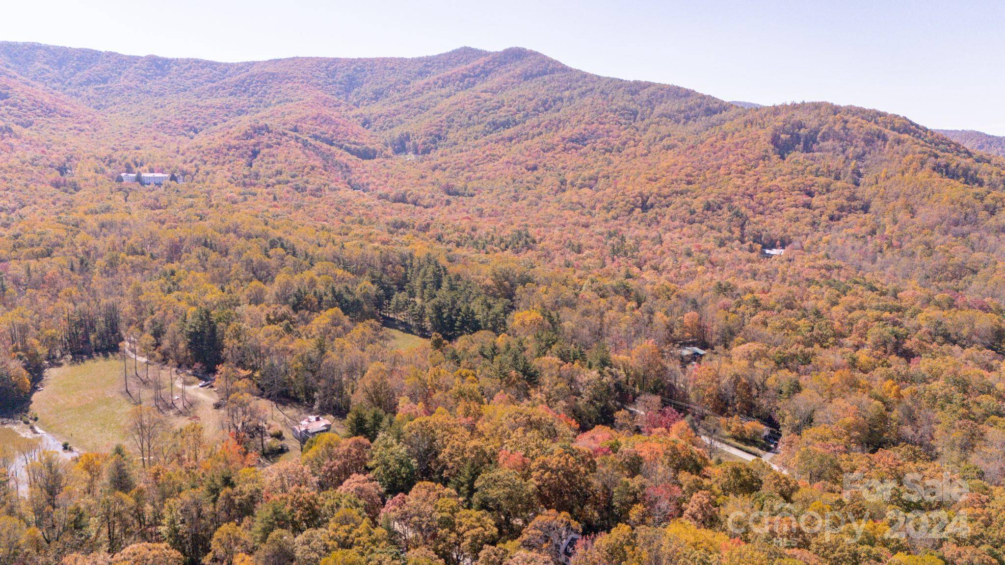 Black Mountain, NC 28711,59 Laurel LN