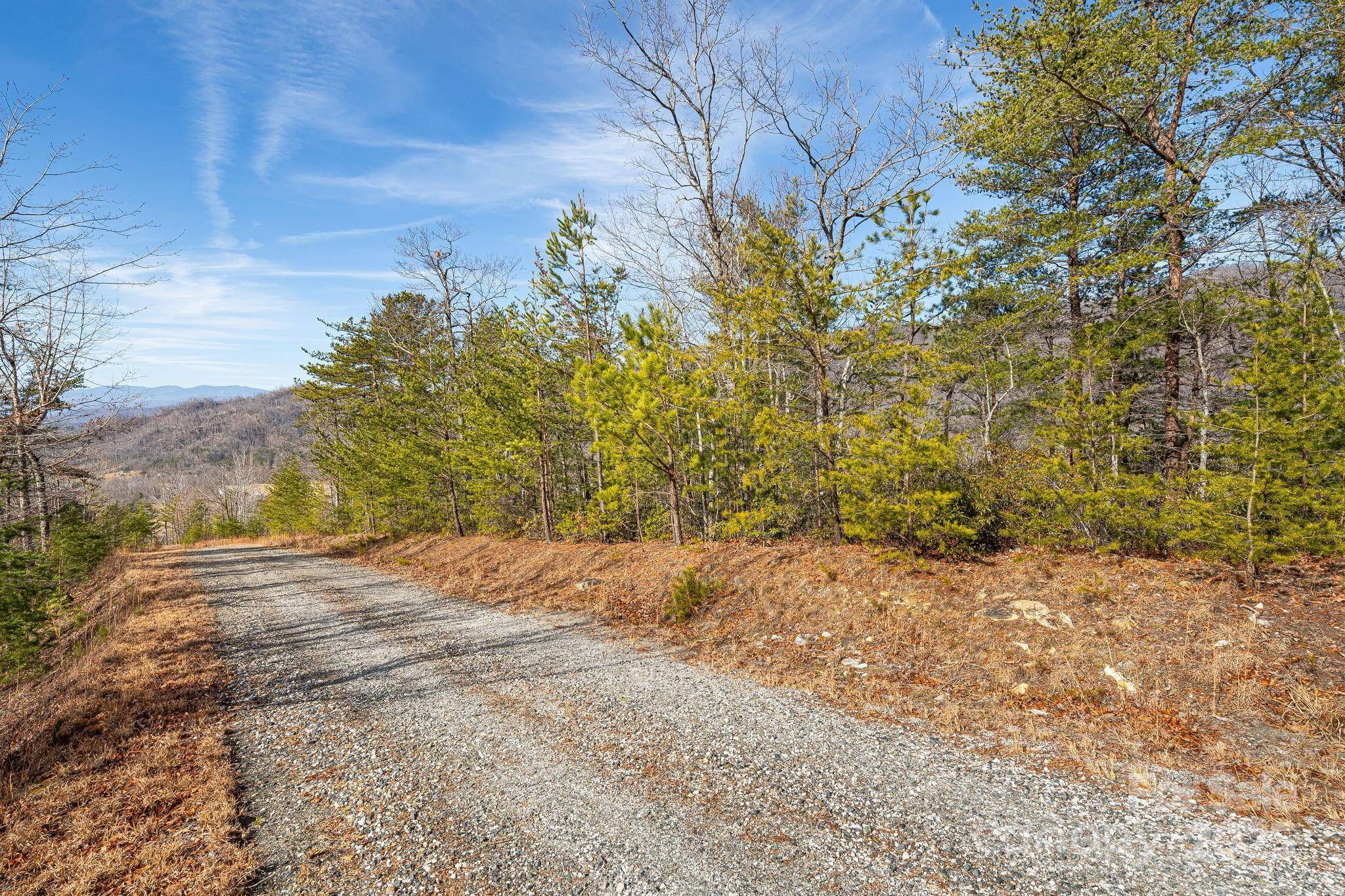 Marion, NC 28752,000 Fox Ridge TRL #17