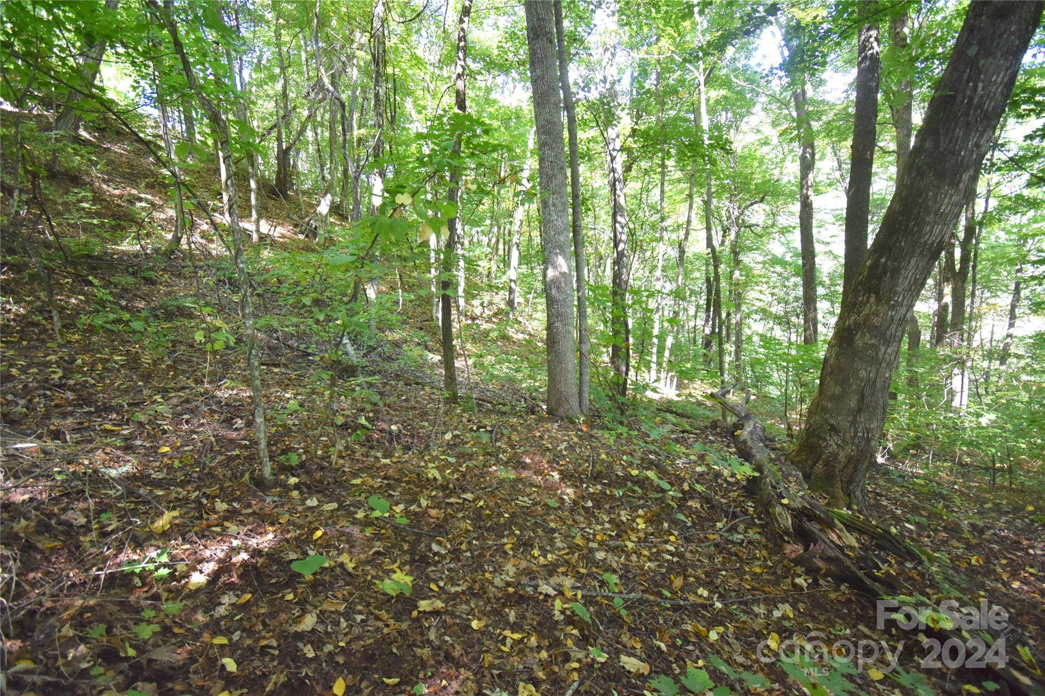 Waynesville, NC 28786,0 Chimney Ridge TRL #131