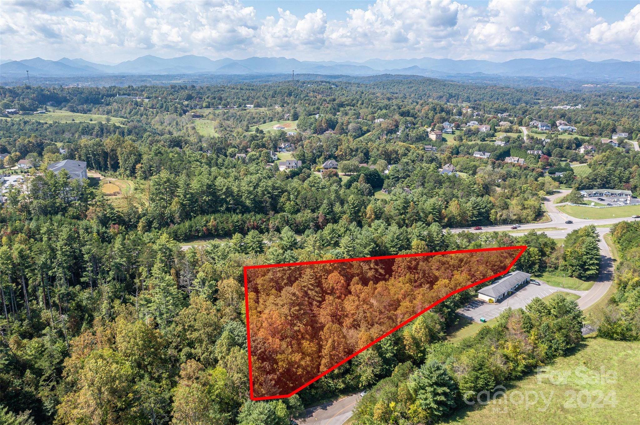 Weaverville, NC 28787,99999 Ollie Weaver RD