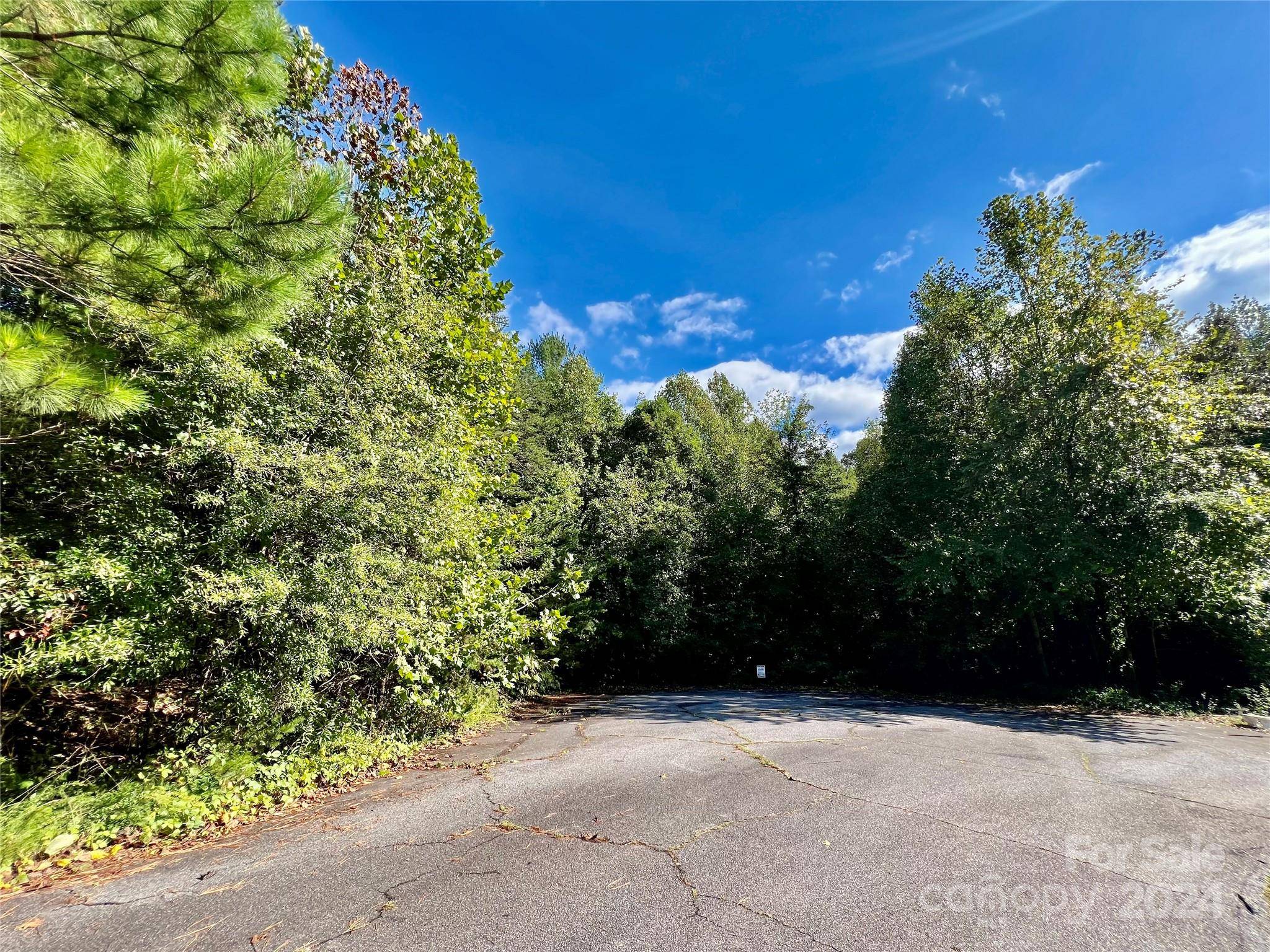 Taylorsville, NC 28681,Lot 124 + 125 Shadow DR