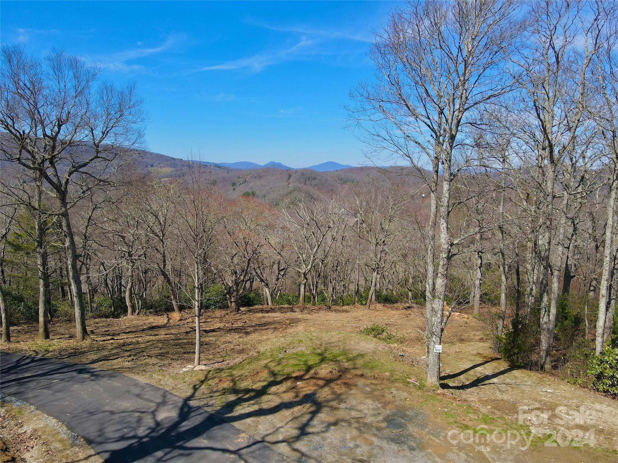 Blowing Rock, NC 28605,239 Thunder Wood TRL #239