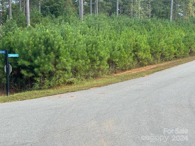 Granite Falls, NC 28630,1381 Scenic LN #160