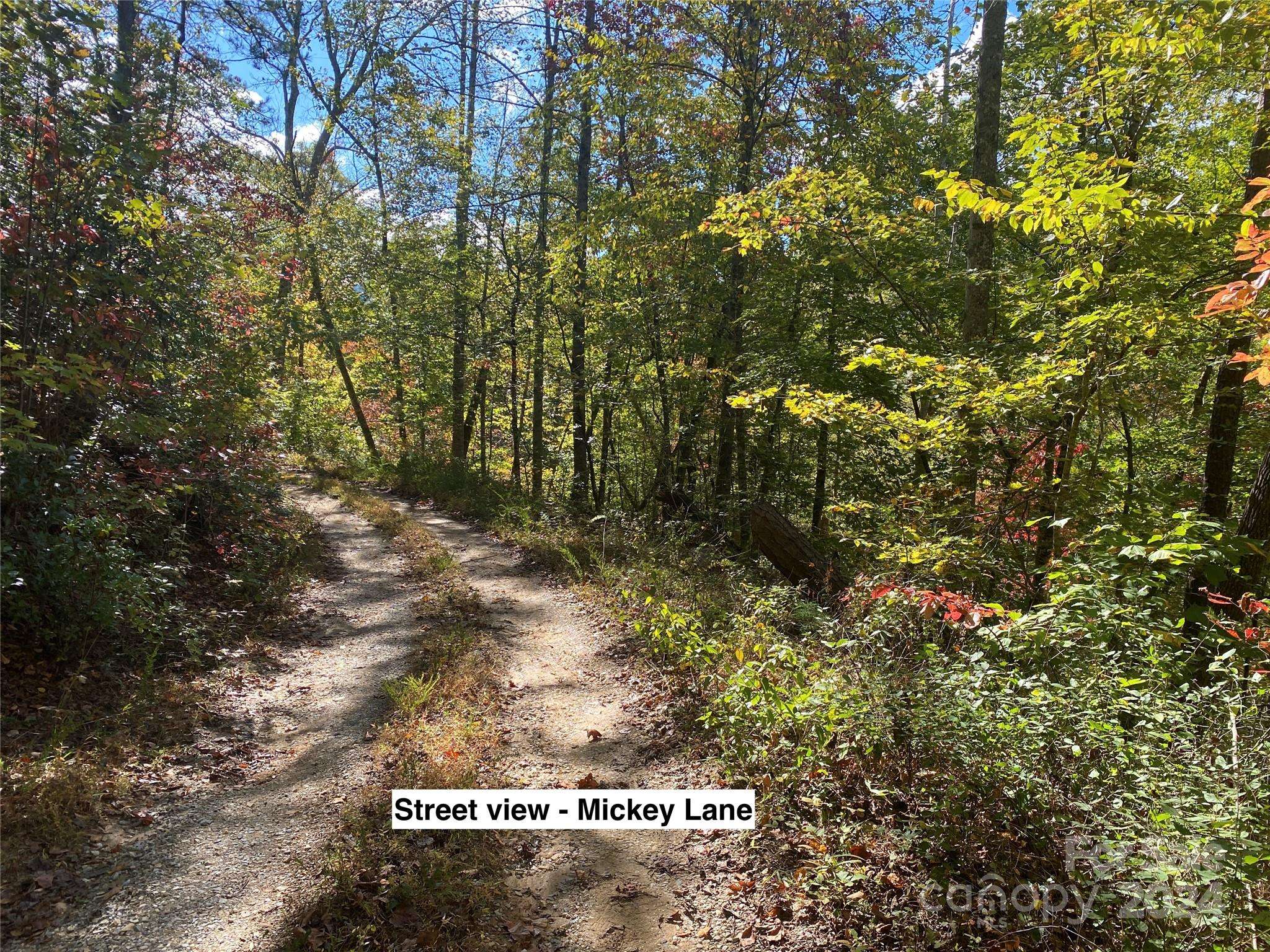 Bryson City, NC 28713,TBD Shirley BLVD #34