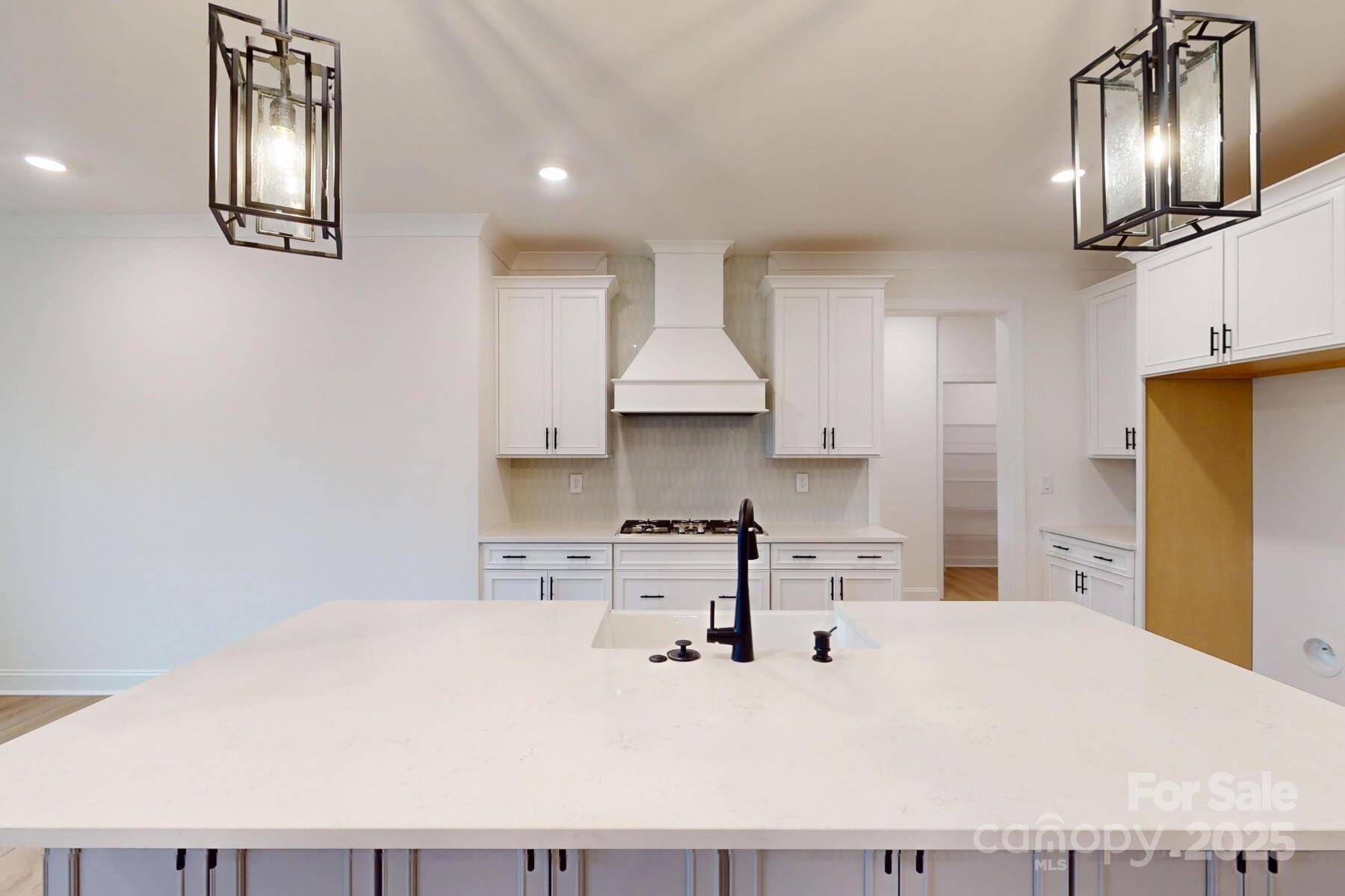 Huntersville, NC 28078,10132 Whitaker Pointe DR