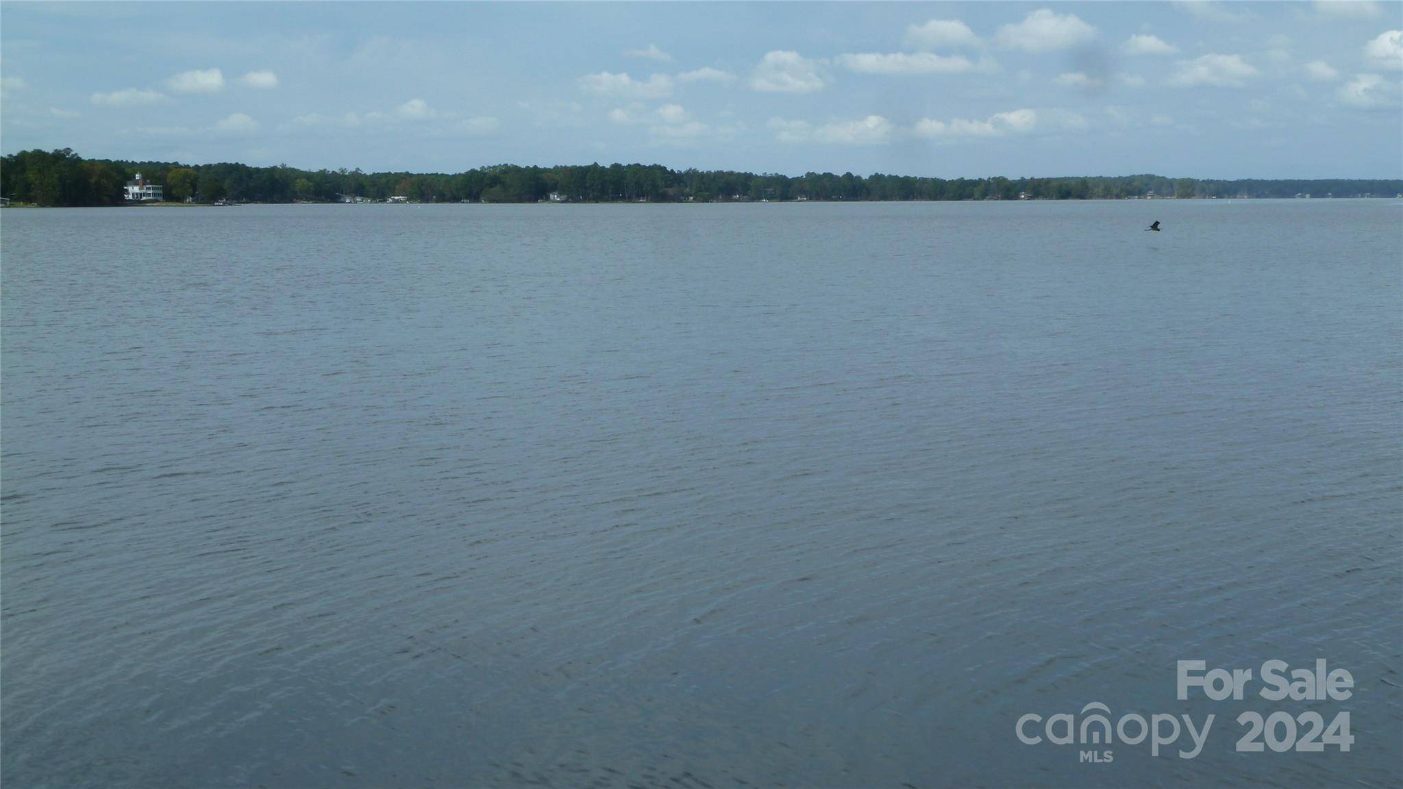 Leesville, SC 29070,TBD Ivy Link RD