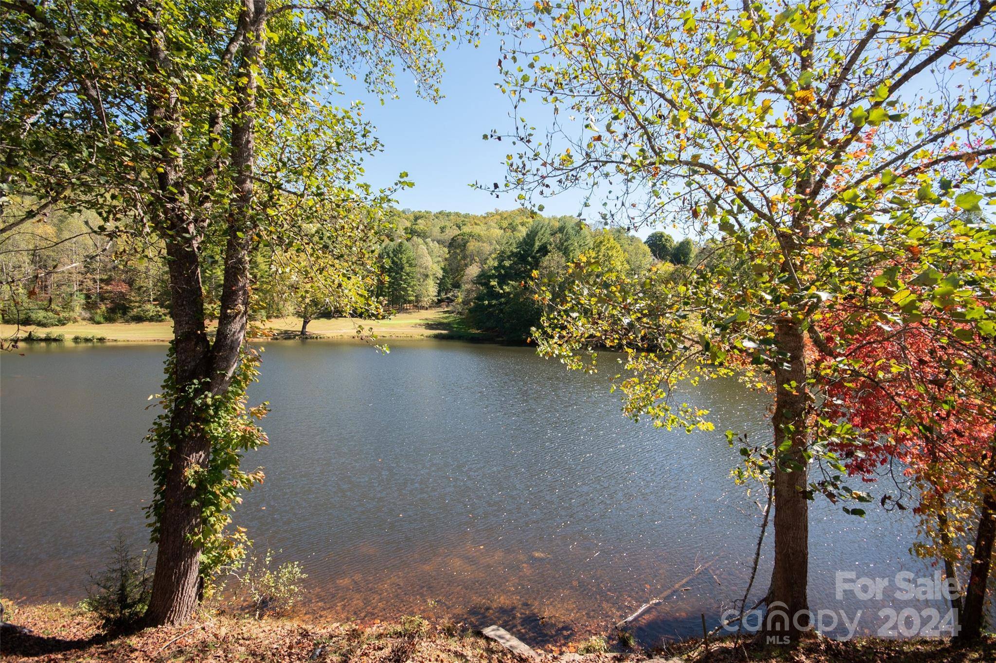 Franklin, NC 28734,50B Mint Lake CT