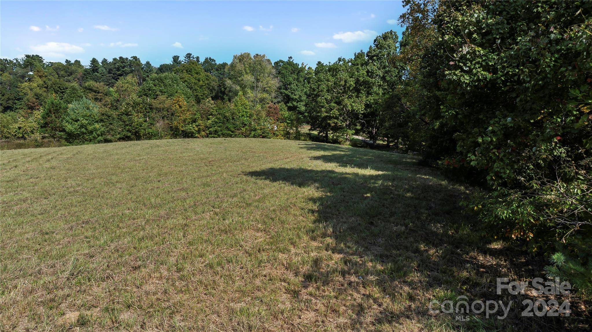 Marshall, NC 28753,99999 Bull Creek RD #Lot 1