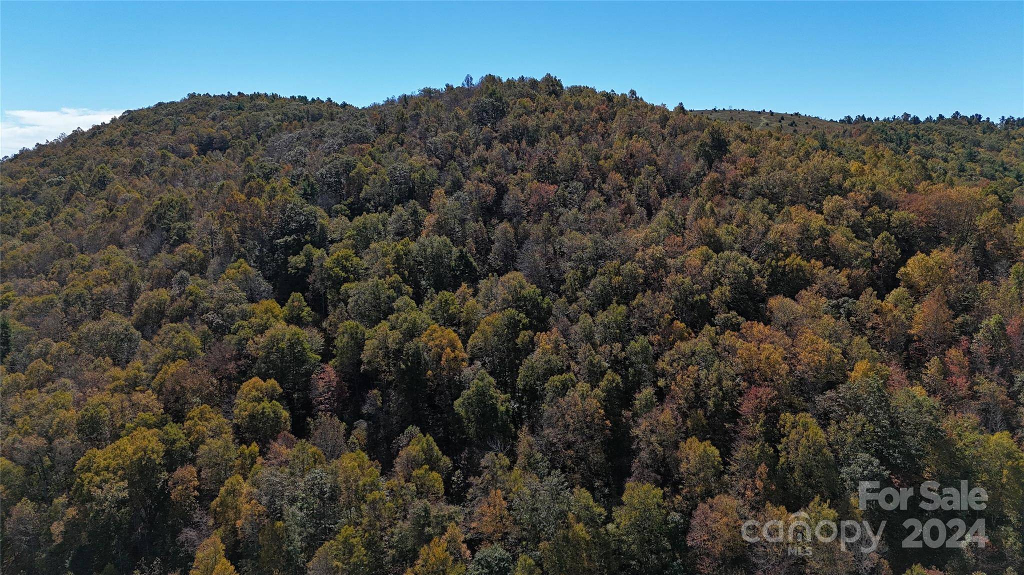 Deep Gap, NC 28618,TBD Valley Moretz RD