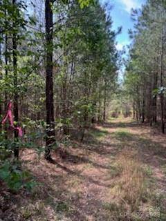 Albemarle, NC 28001,0 Ingold School RD