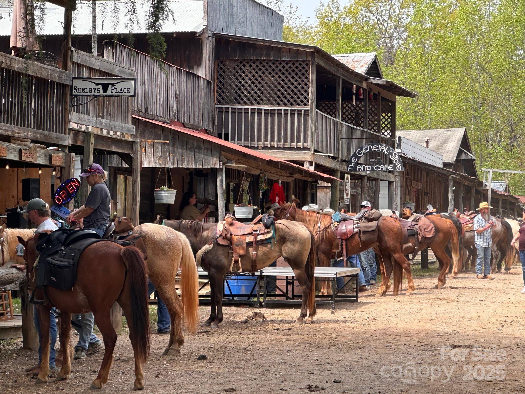 Statesville, NC 28625,175 Henry Martin TRL