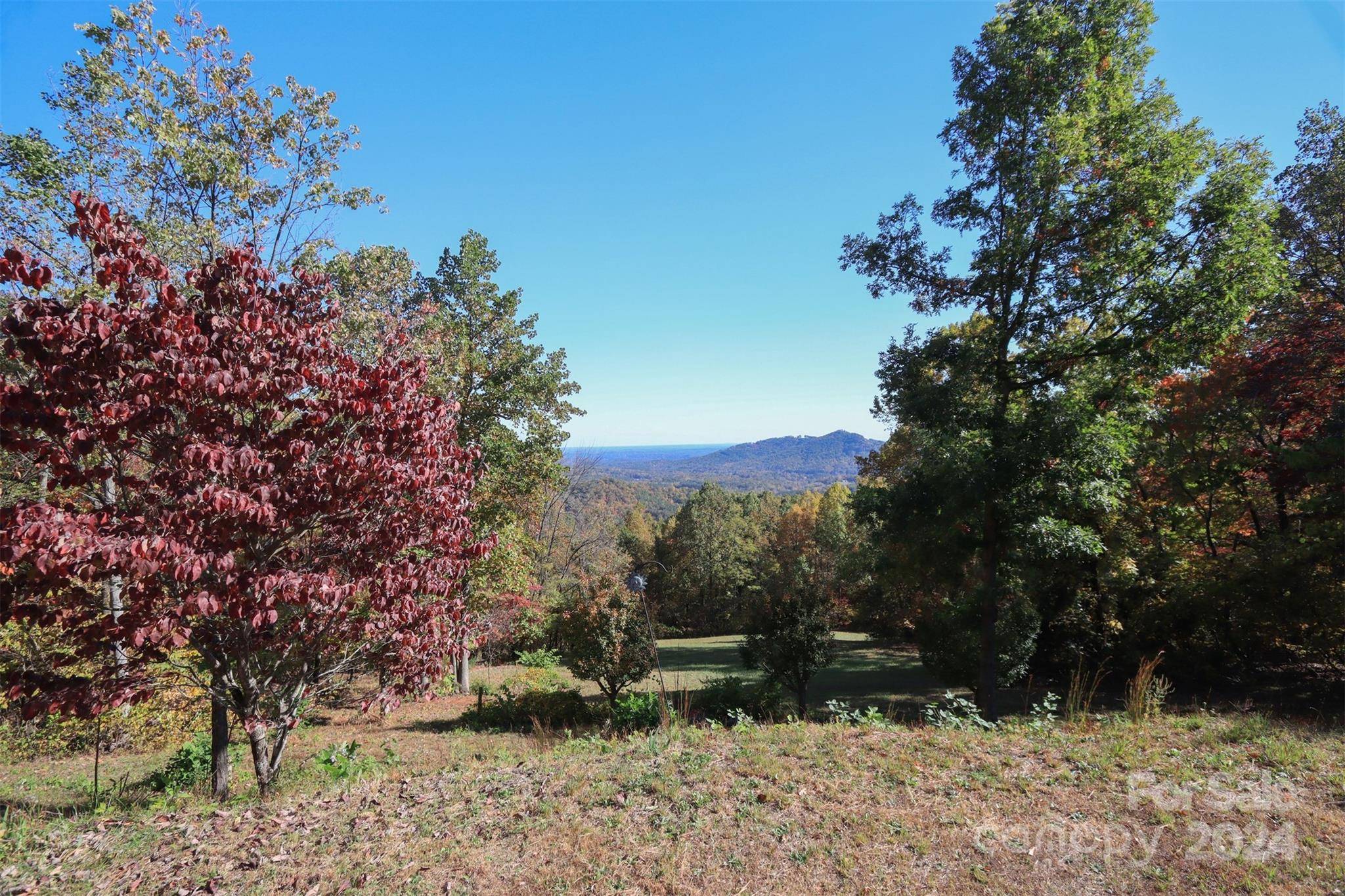 Lake Lure, NC 28746,145 Lazy Acres LN