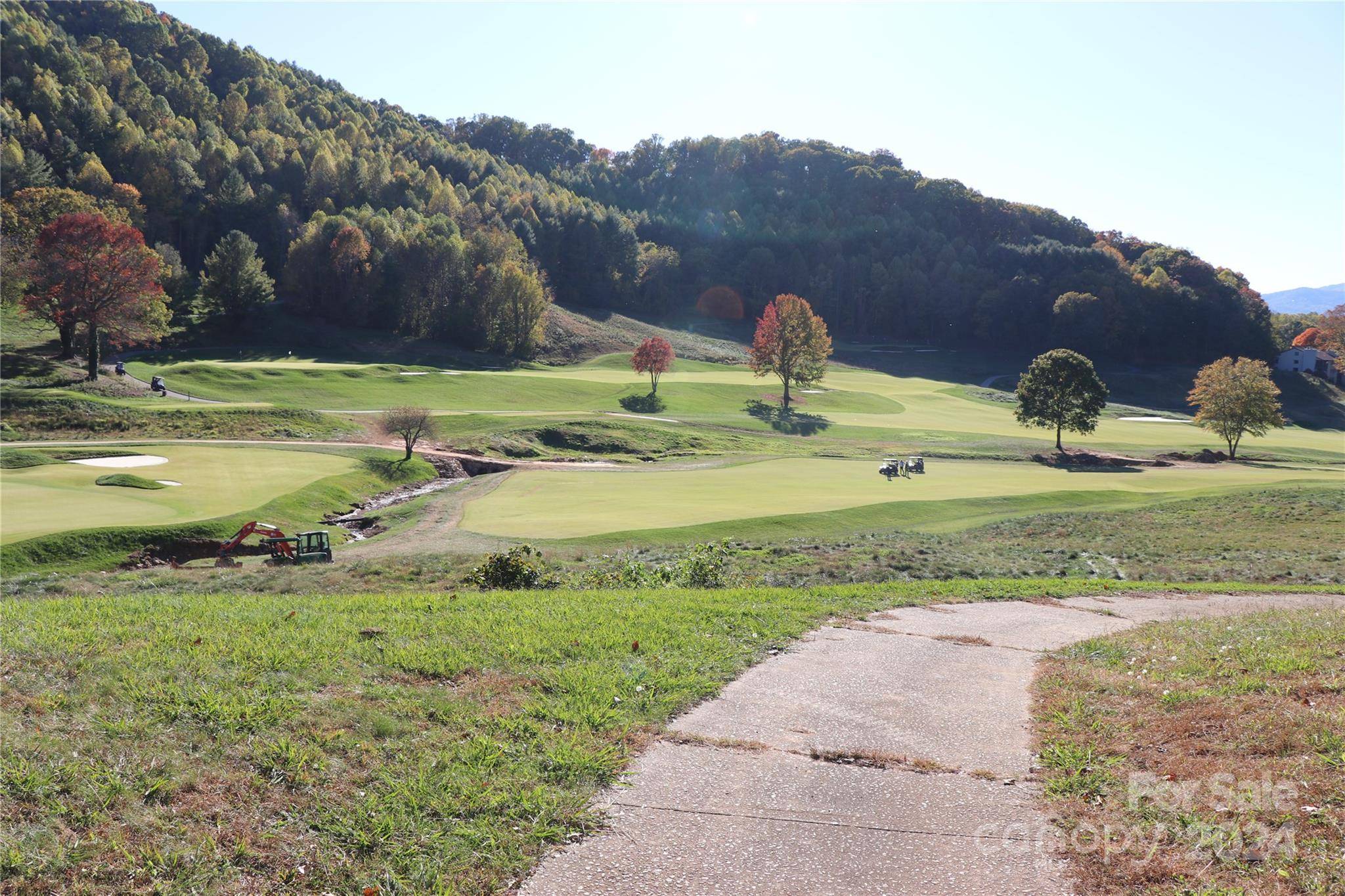 Waynesville, NC 28786,00 Greenview DR #10