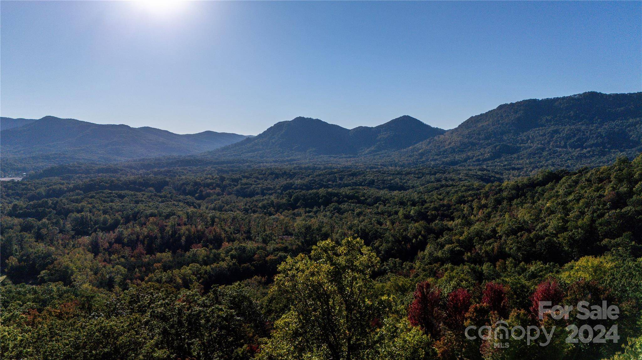 Columbus, NC 28722,TBD (Lot 9) Holland DR