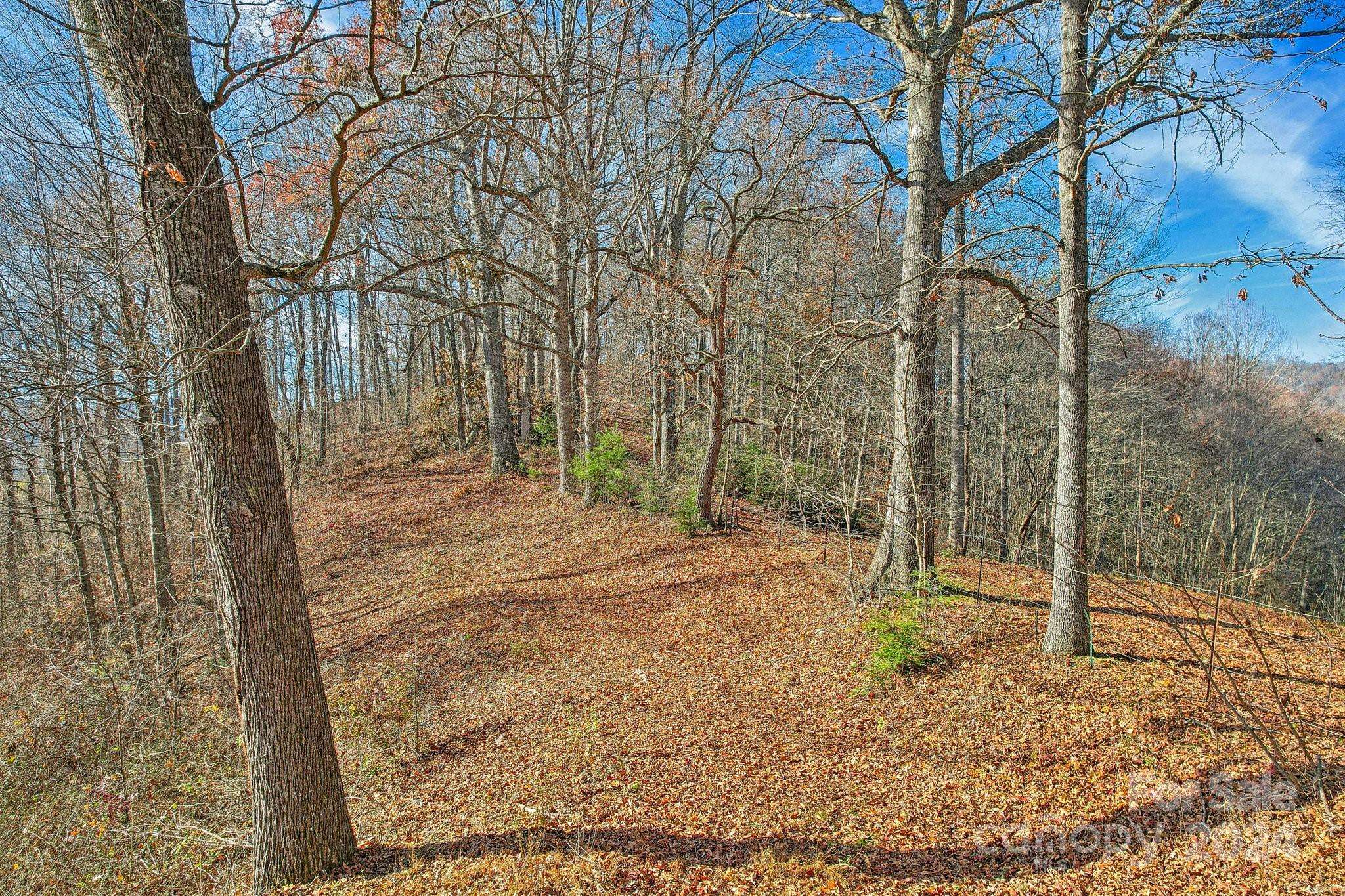 Canton, NC 28716,331 Silent Forest DR