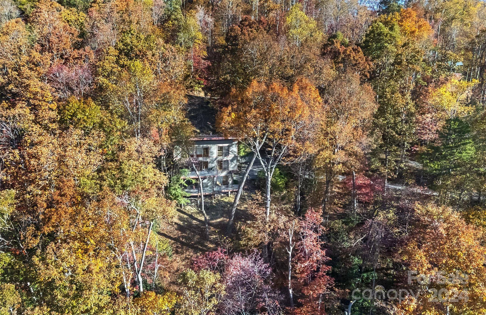 Asheville, NC 28803,26 Snow Shoe DR