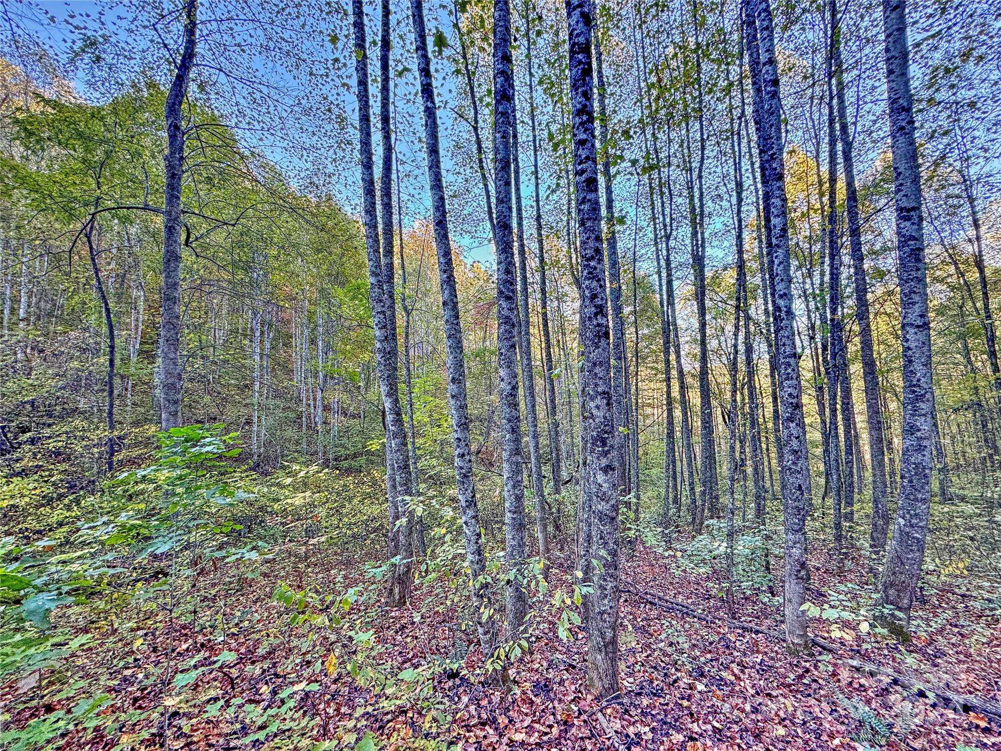 Bryson City, NC 28713,0 Wesser Creek RD
