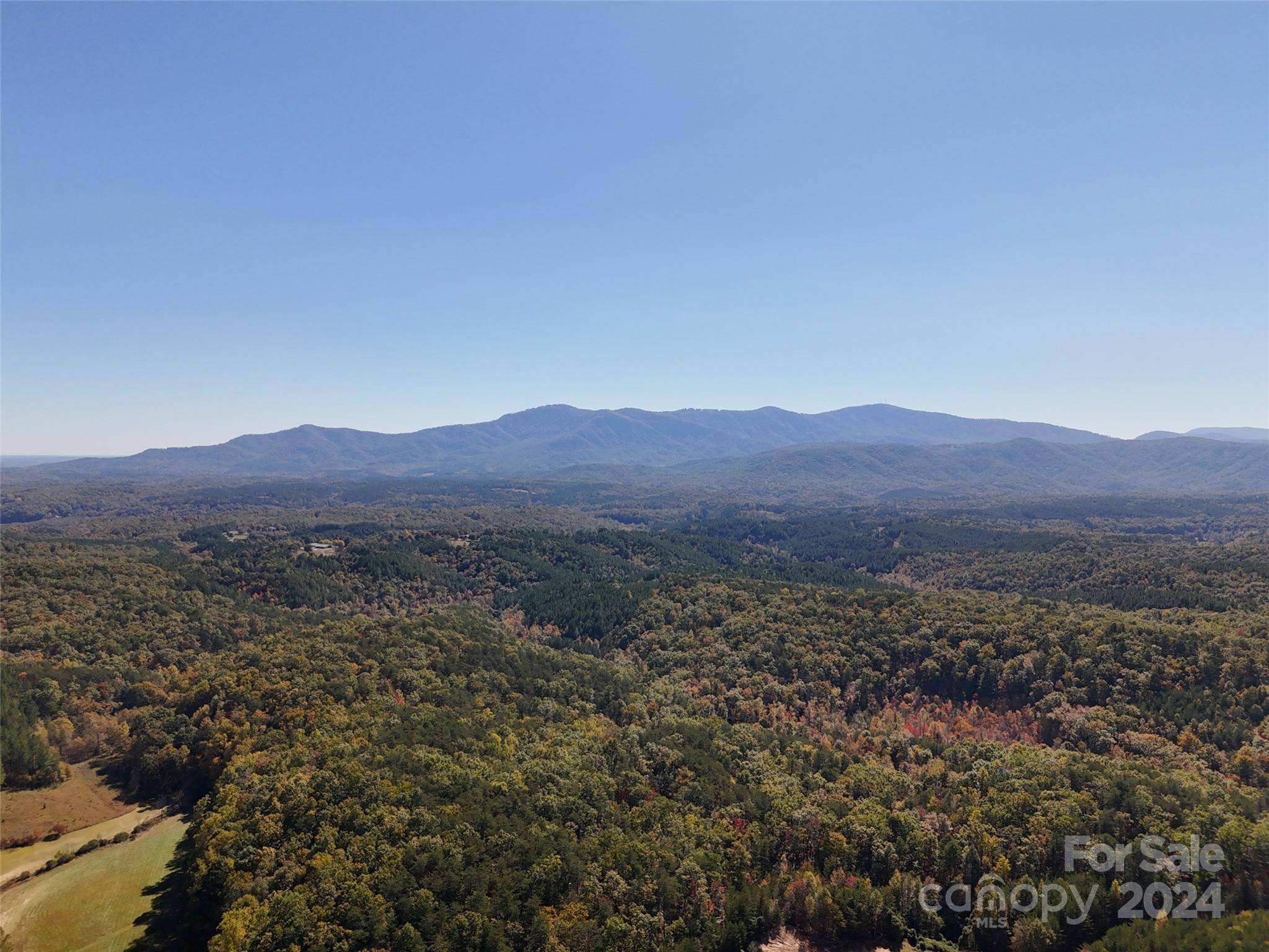 Mill Spring, NC 28756,46.6 Acres Regan Jackson RD