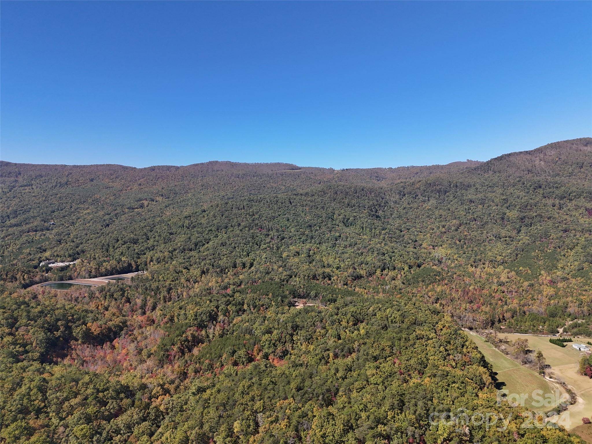 Mill Spring, NC 28756,46.6 Acres Regan Jackson RD