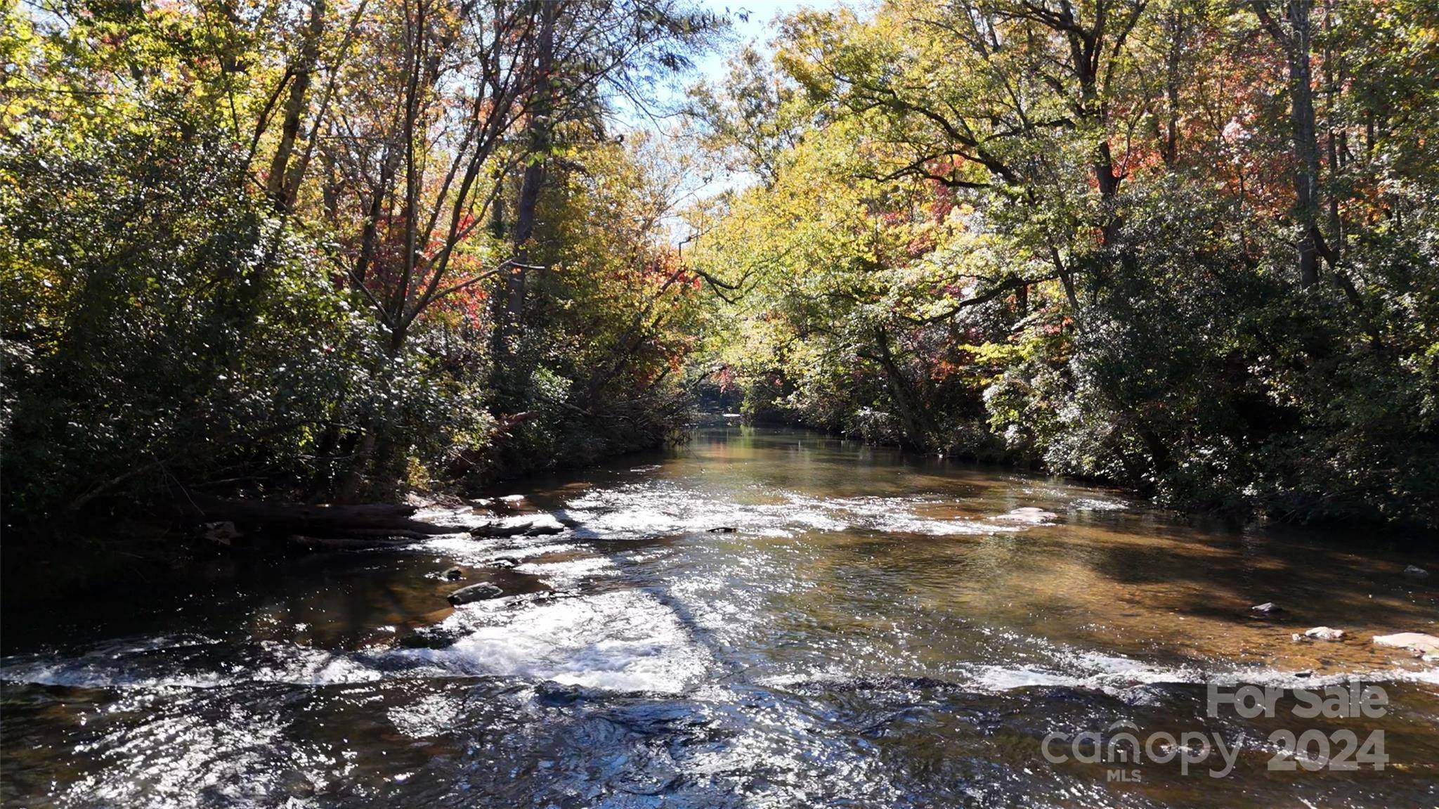 Columbus, NC 28722,16 Acres Falcon LN