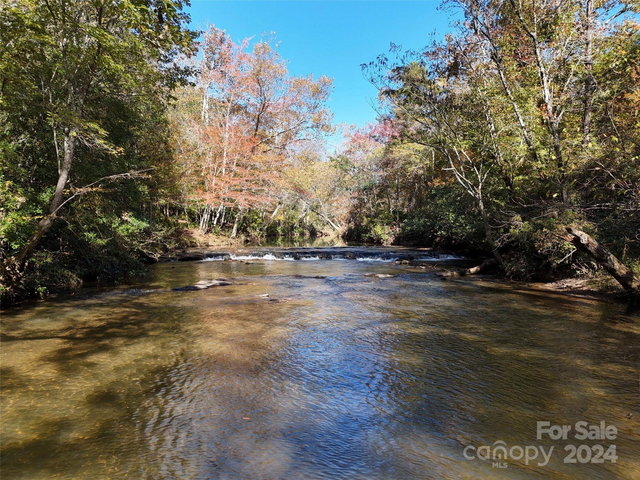 Columbus, NC 28722,16 Acres Falcon LN