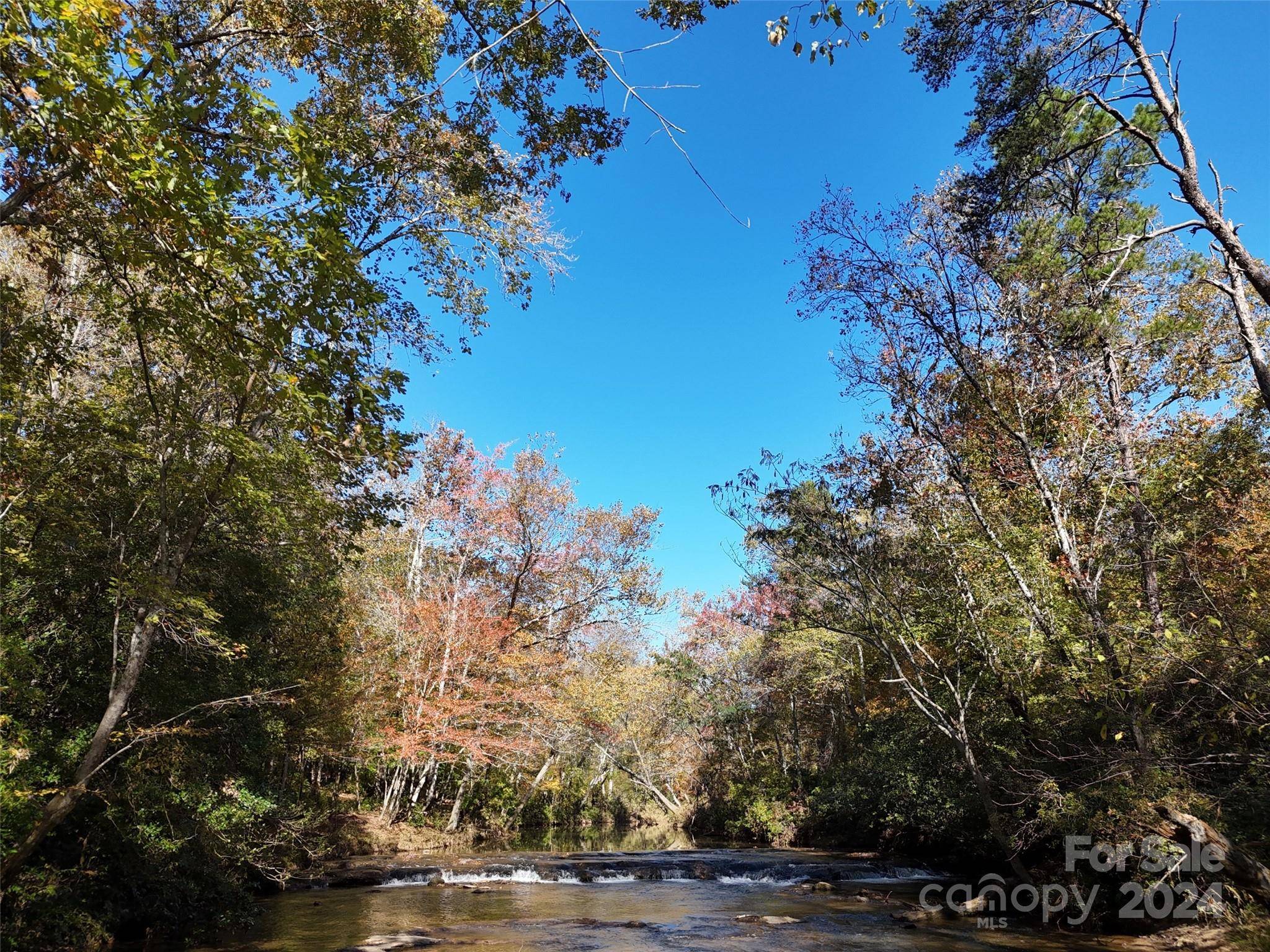 Columbus, NC 28722,16 Acres Falcon LN