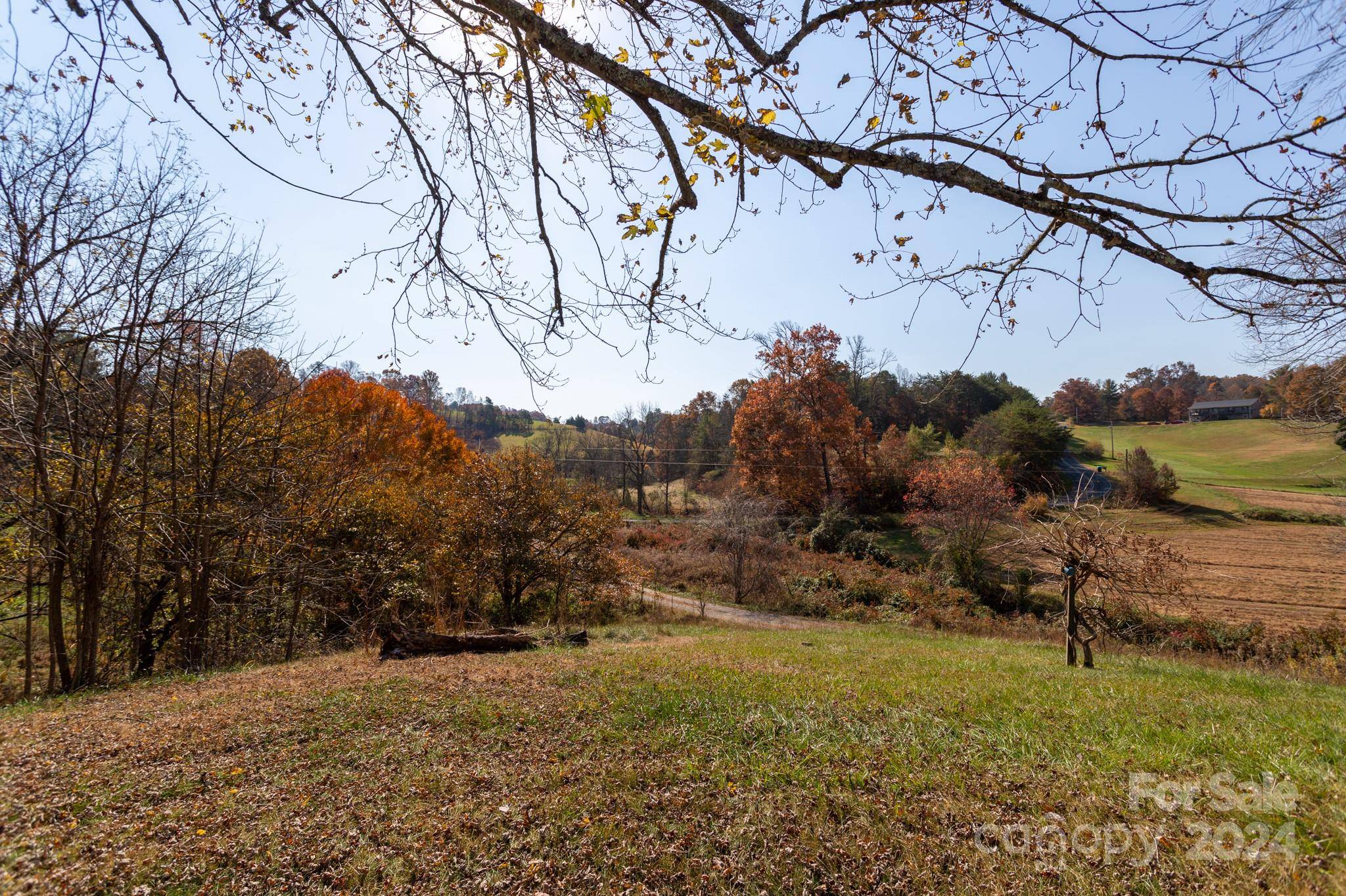 Weaverville, NC 28787,124 Palmer Ford RD