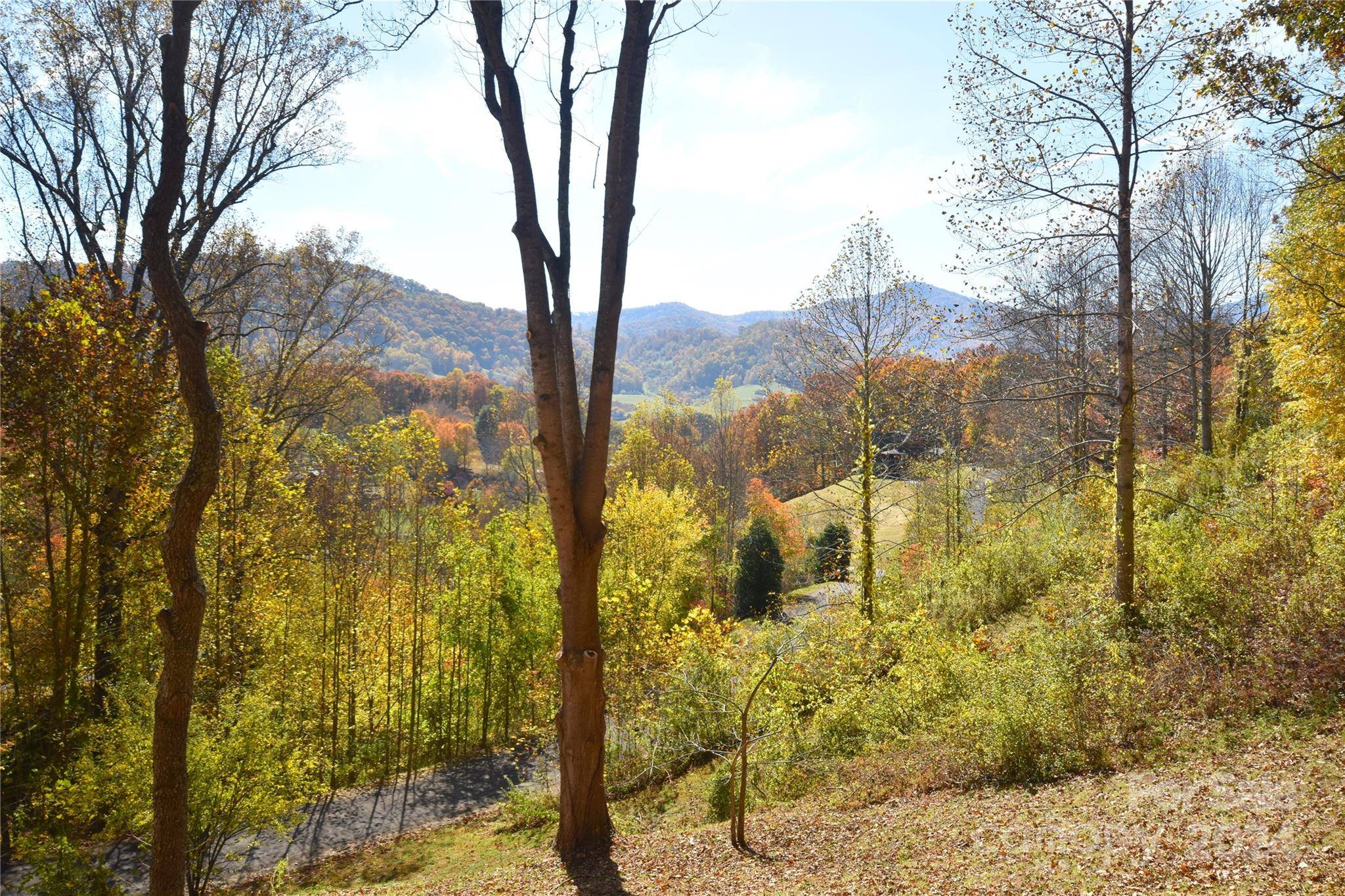 Waynesville, NC 28785,000 Wheatgrass LOOP #5