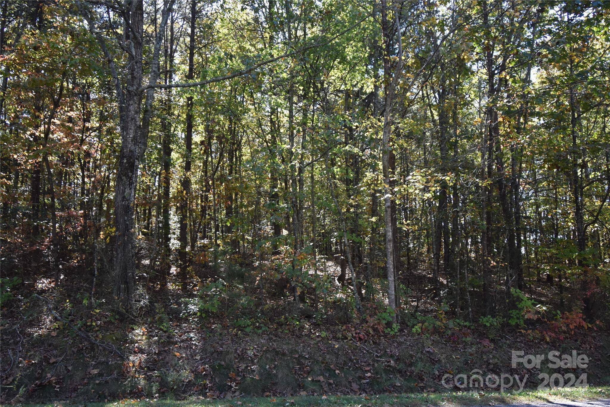 Granite Falls, NC 28630,00 Blueberry DR