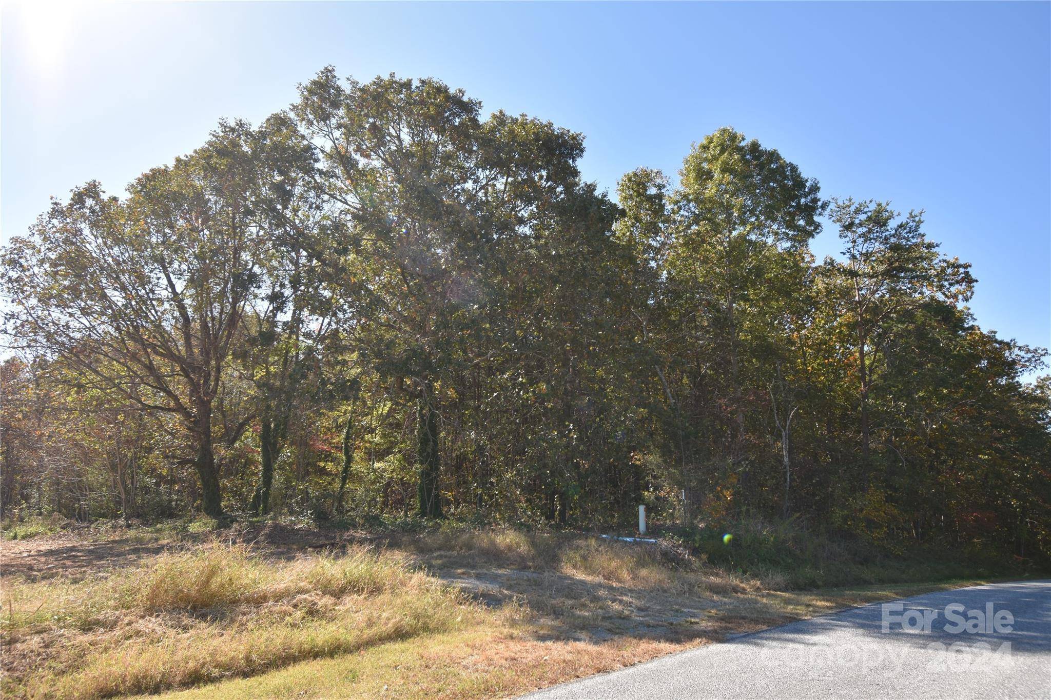 Granite Falls, NC 28630,00 Blueberry DR