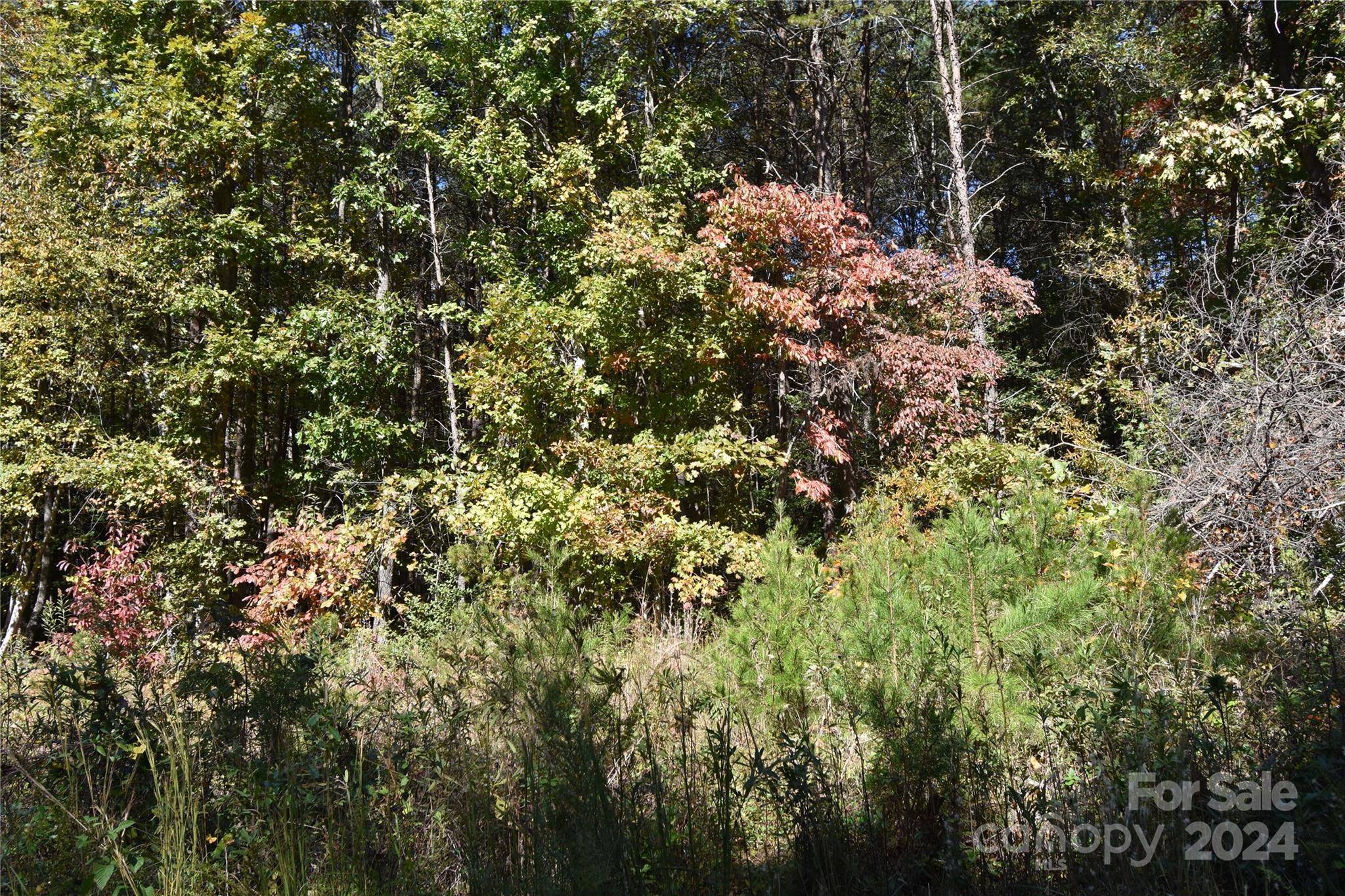 Granite Falls, NC 28630,00 Blueberry DR