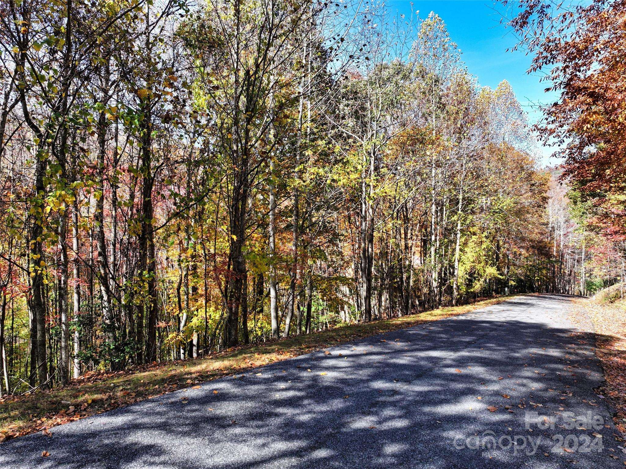 Arden, NC 28704,829 Stoney Stream LN