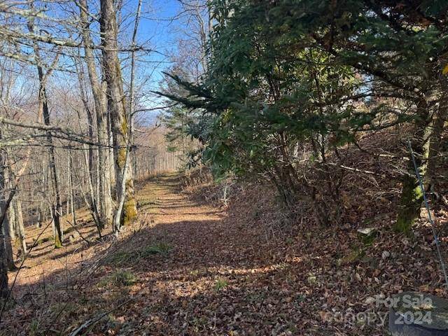 Mars Hill, NC 28754,962 Lookout DR