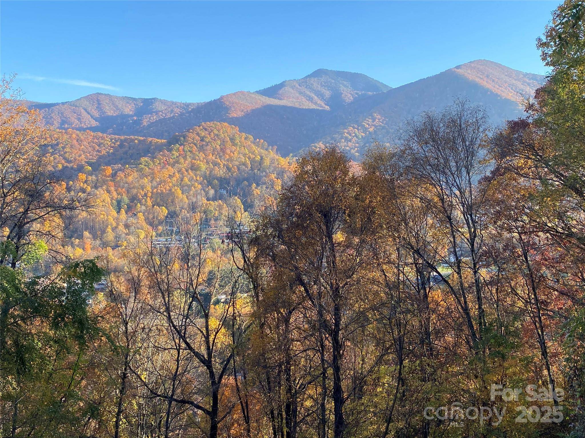 Maggie Valley, NC 28751,40 Cougar LN #13,14,15,16