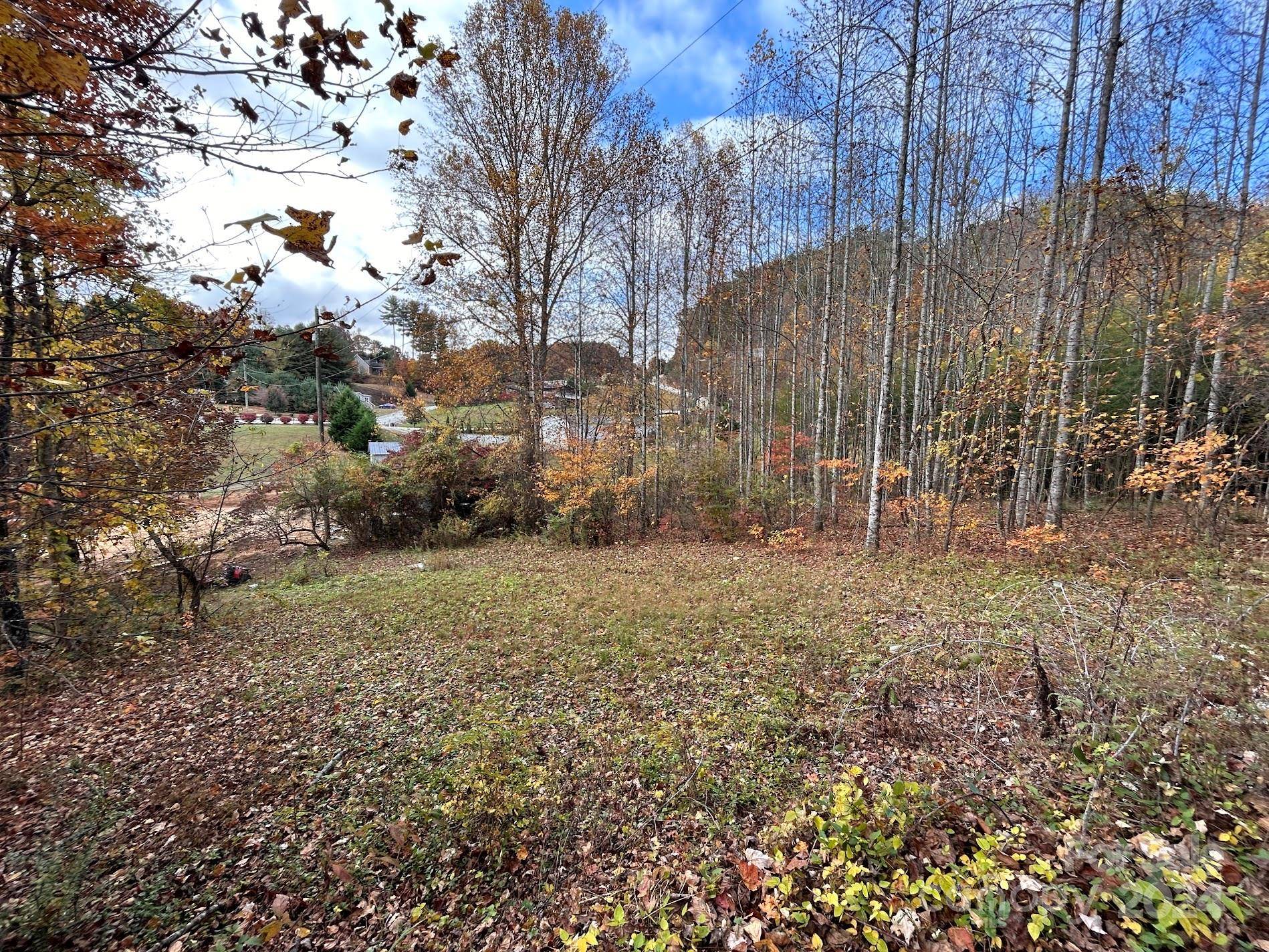 Bryson City, NC 28713,00 Jacobs RD